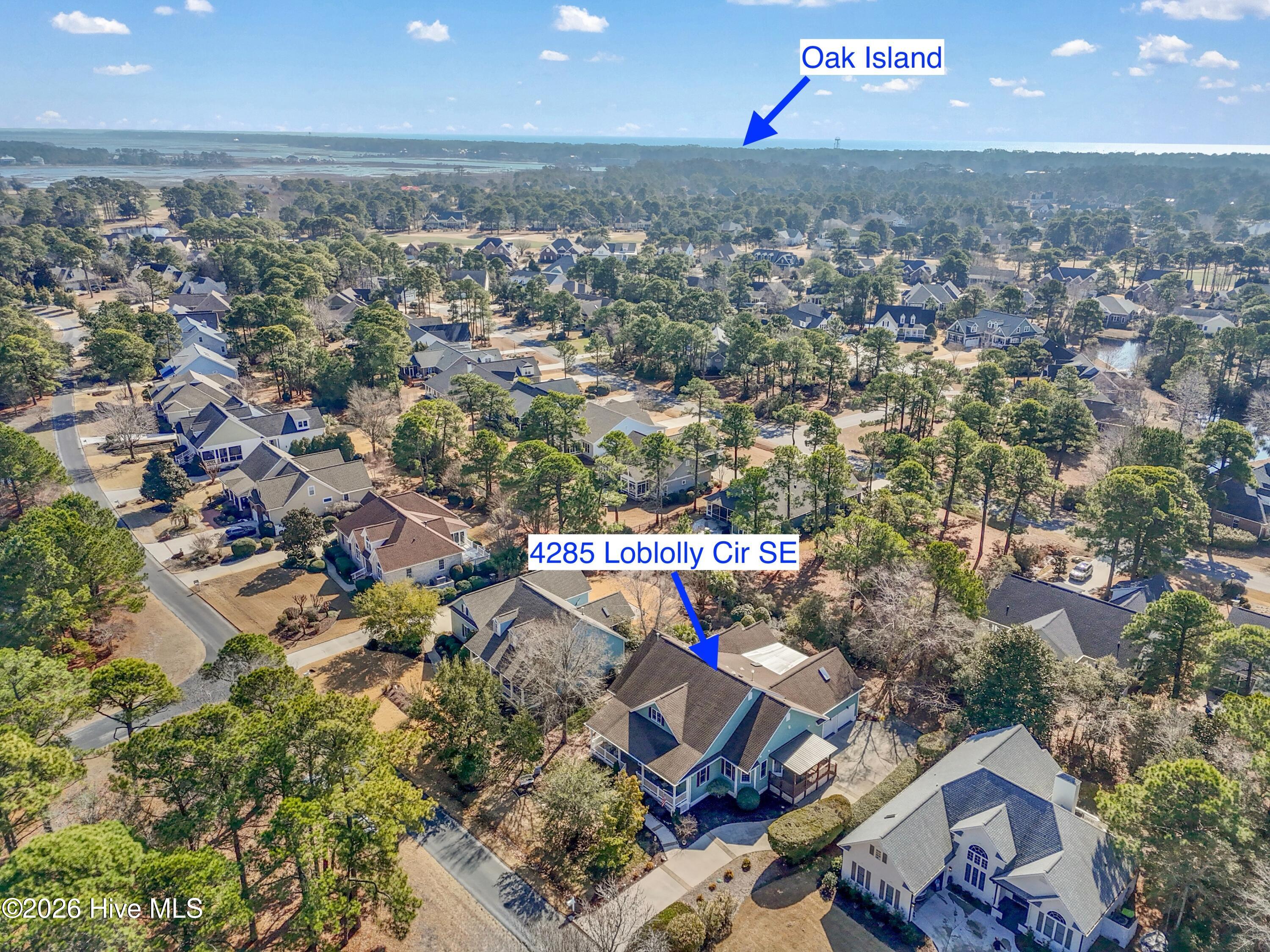 100556962 | Photo 56