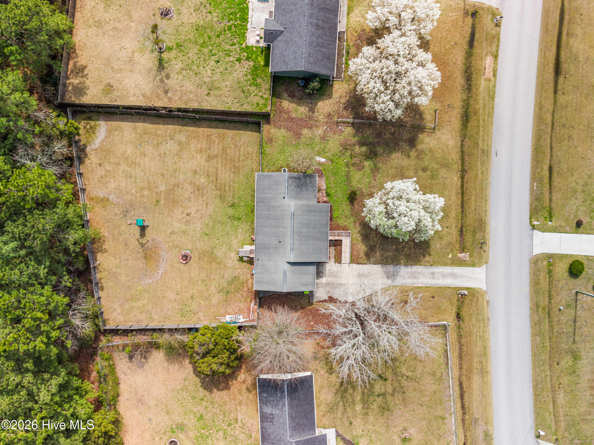 100561480 | Photo 41