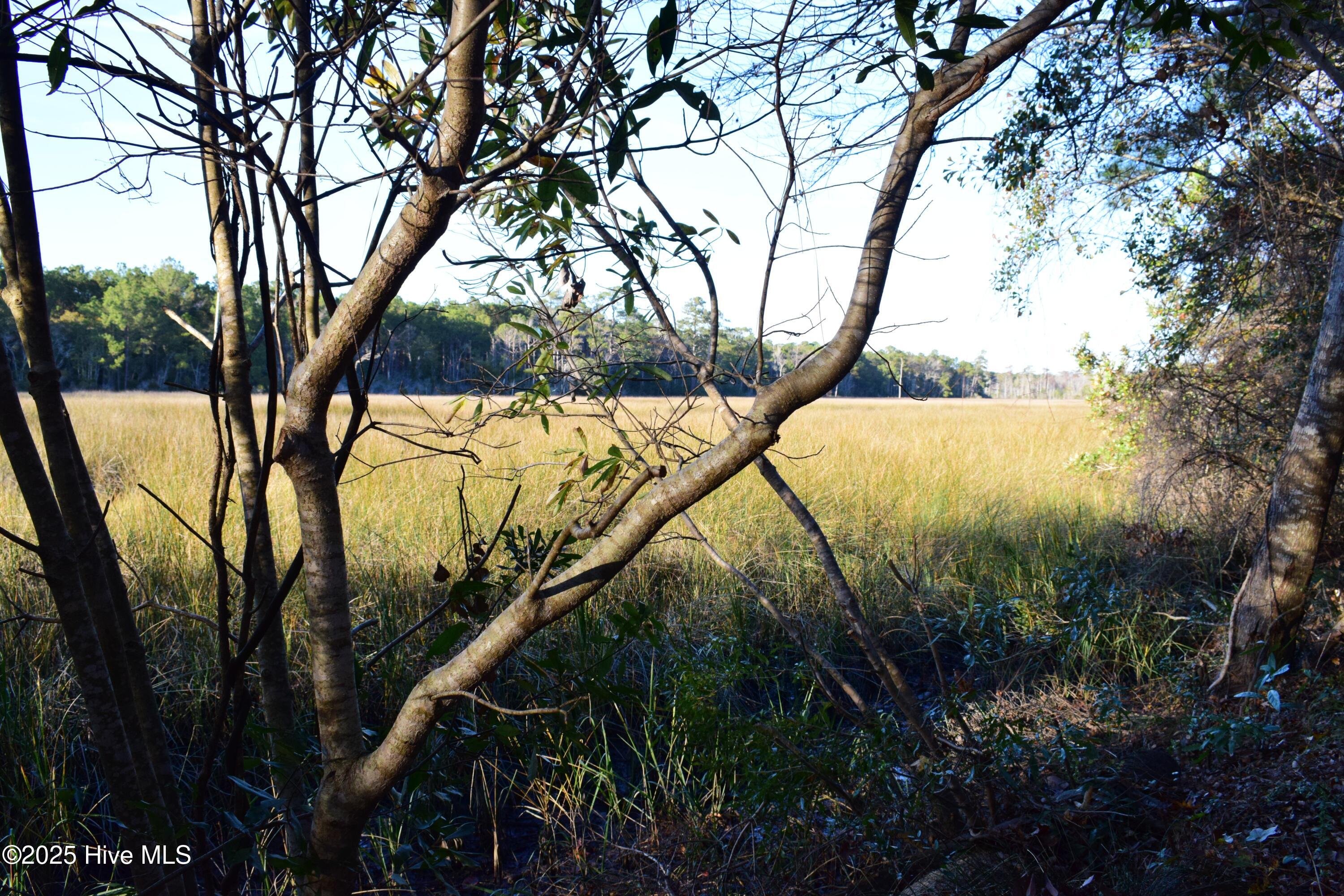 100543289 | Photo 48