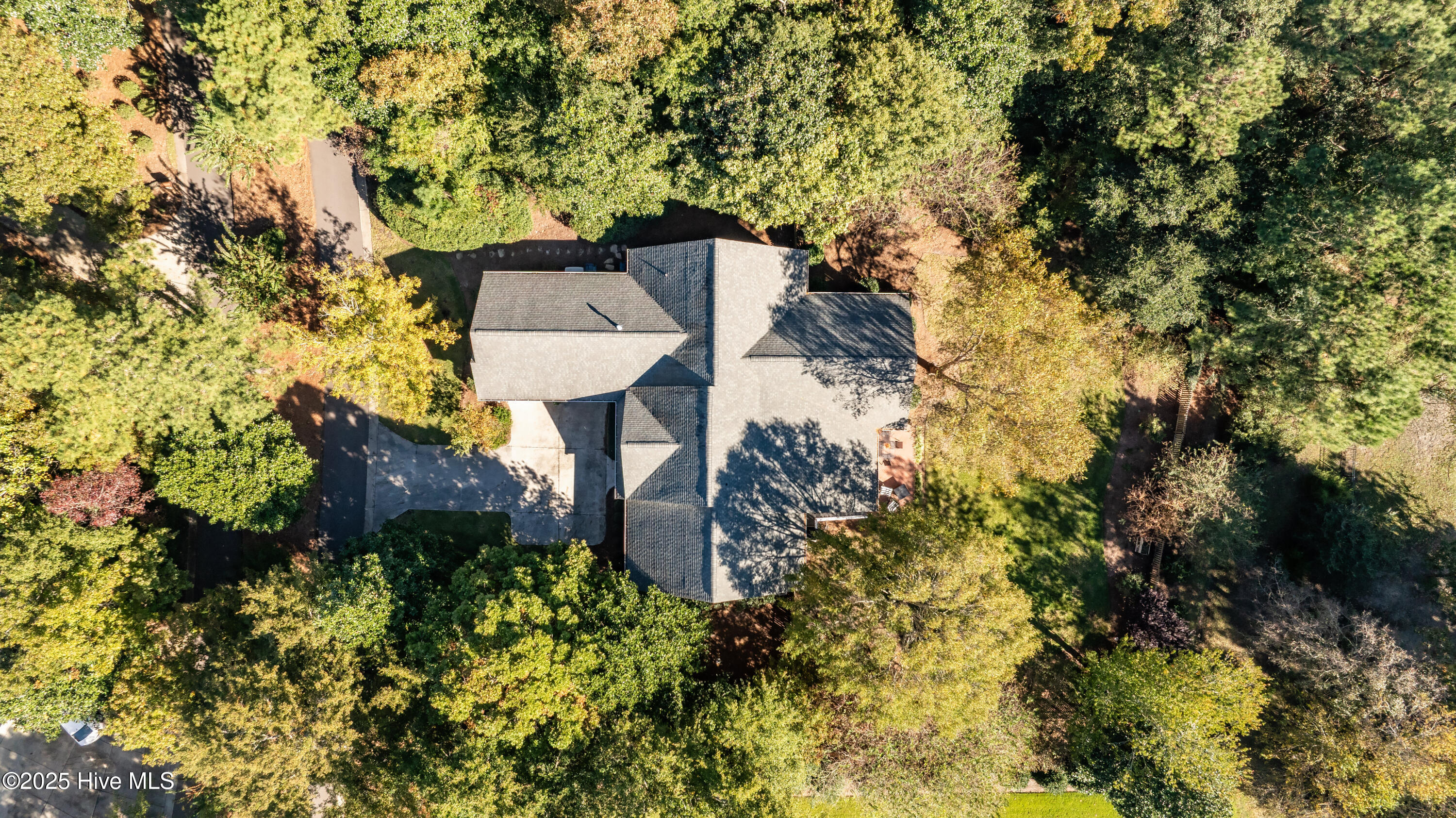 100539062 | Photo 62