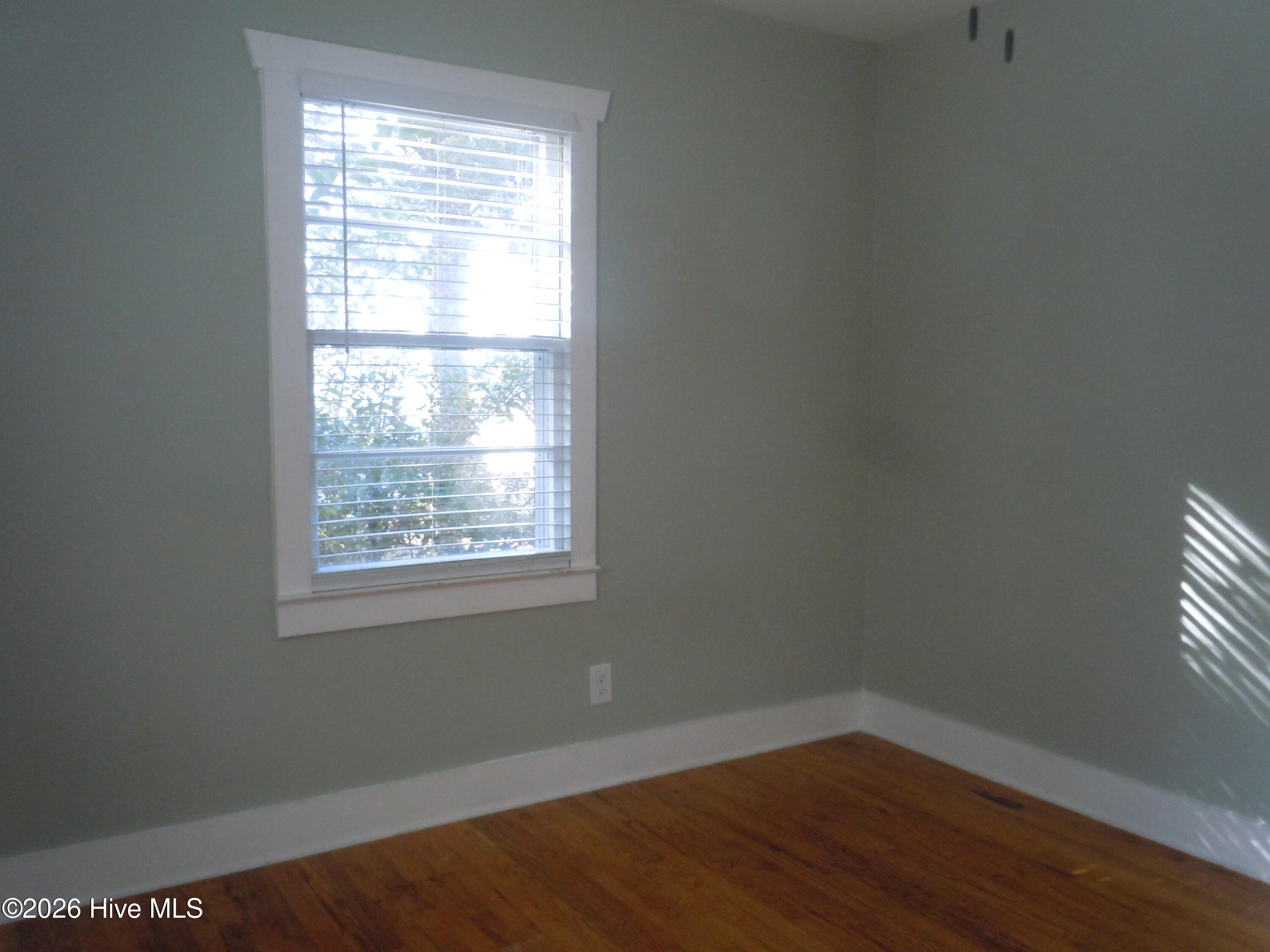 100553608 | Photo 26