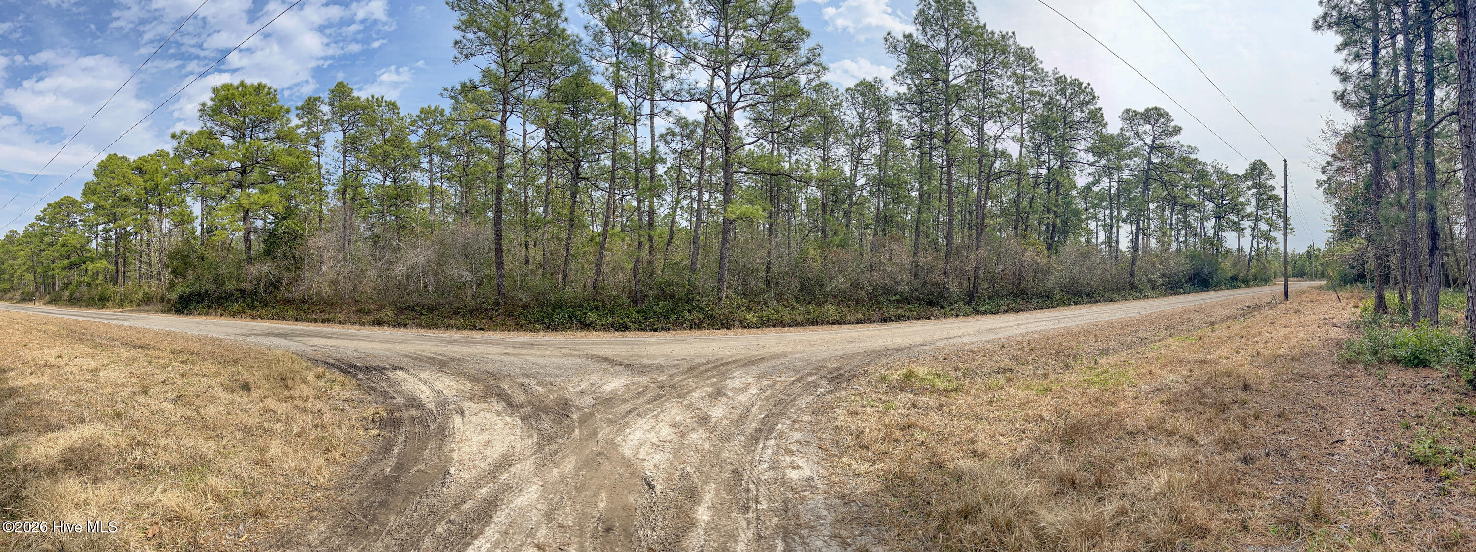 100554657 | Photo 31