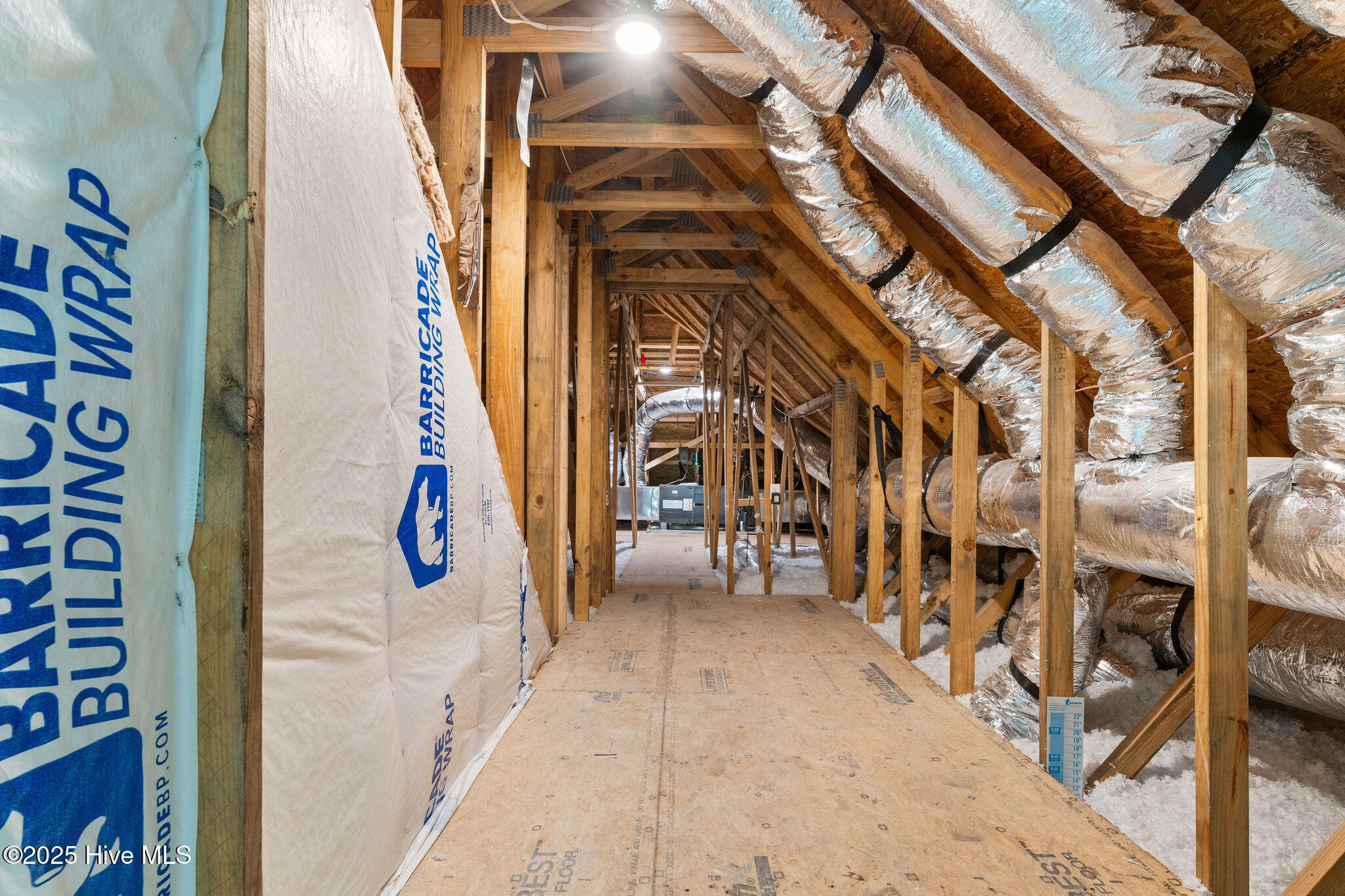 100524622 | Photo 51