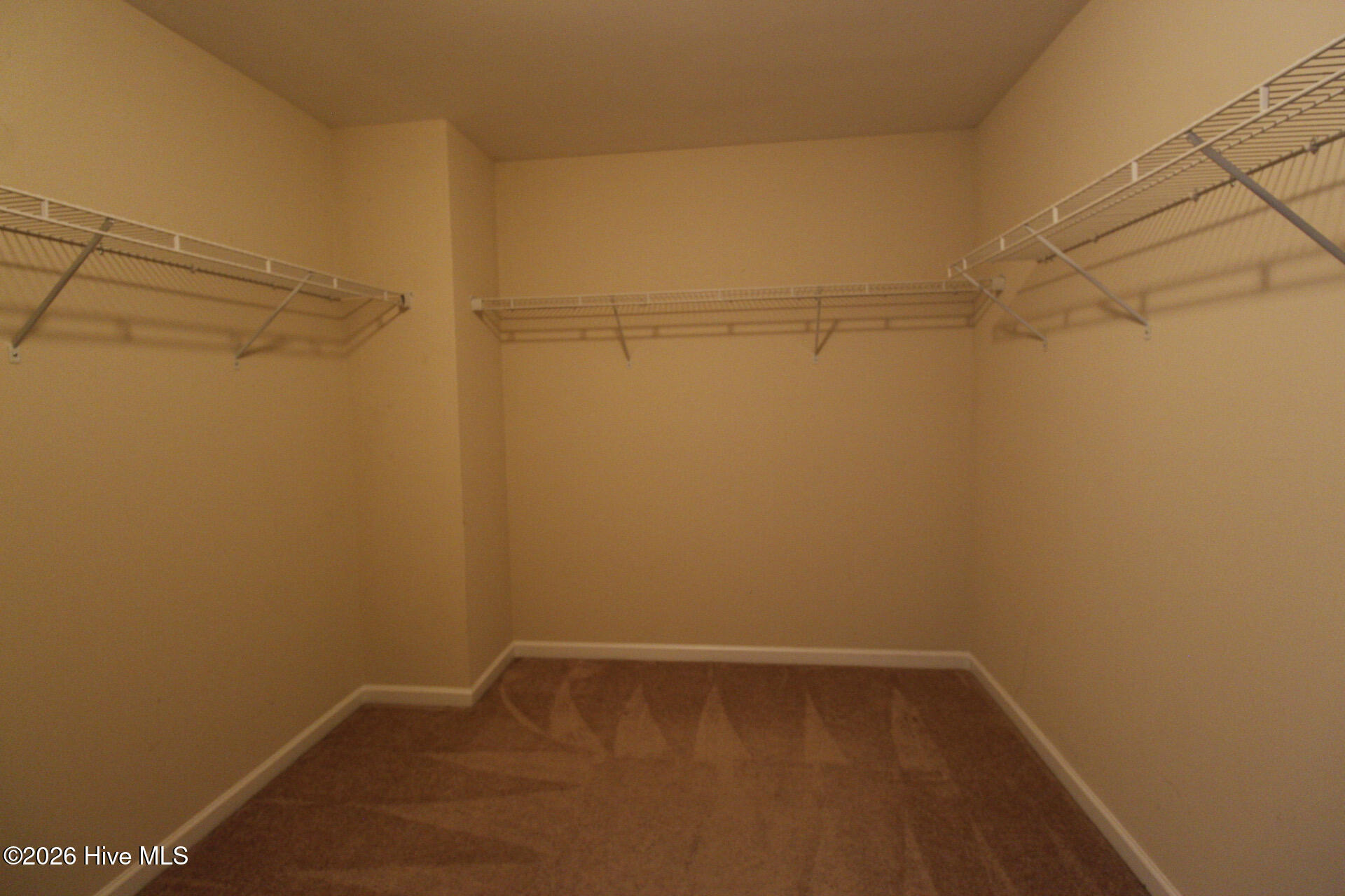 100558904 | Photo 17