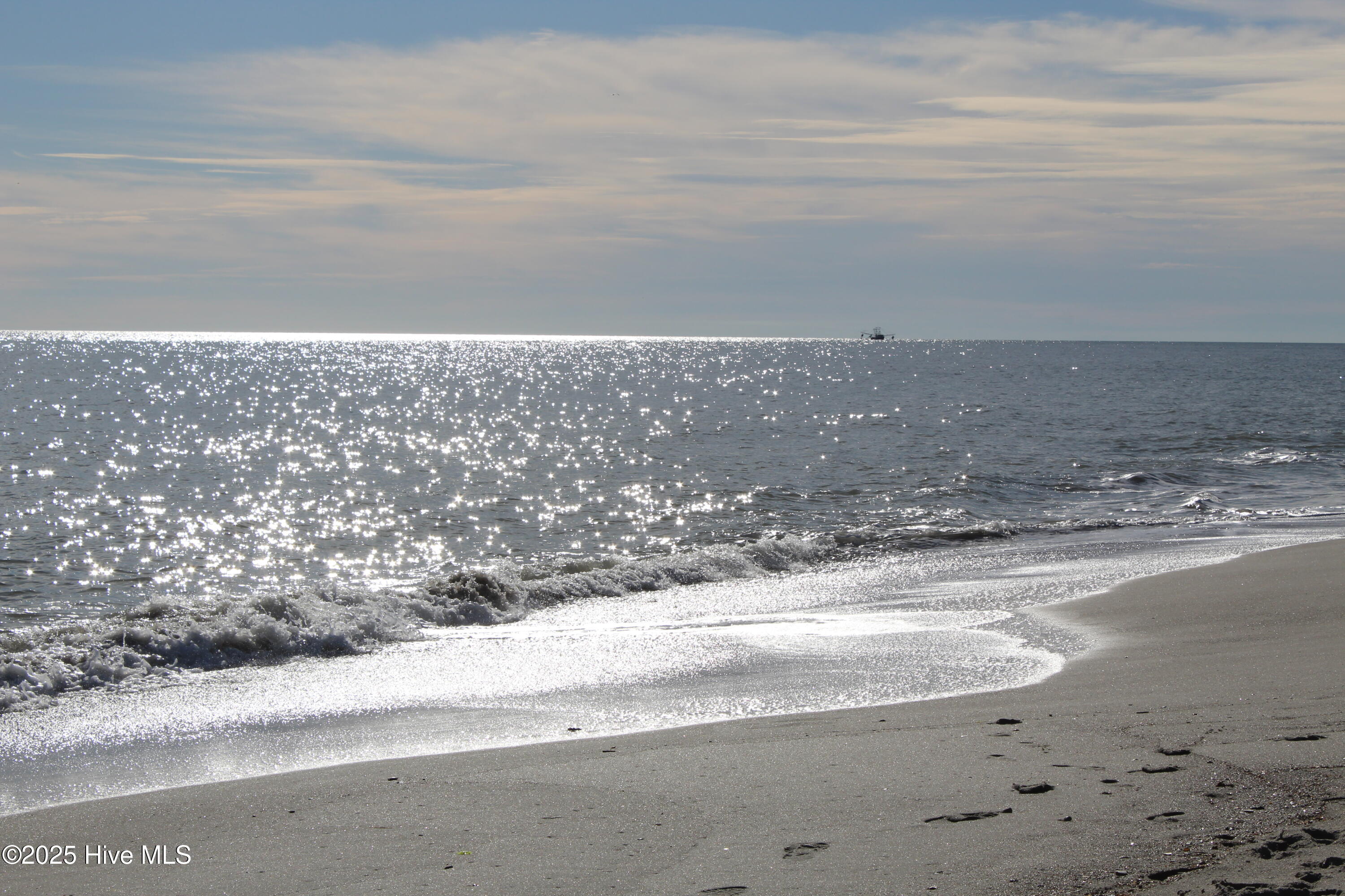 100488481 | Photo 20