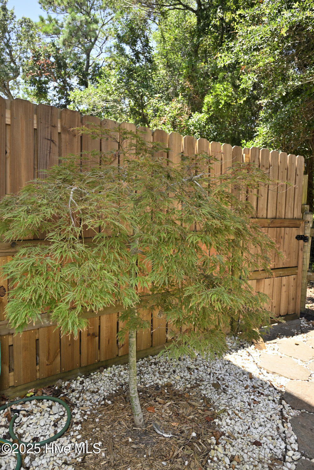 100521954 | Photo 38