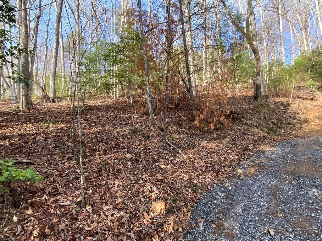 Exterior photo of Lot 7 7 Ivy Log Road, Murphy, NC 28906. MLS: 98543713