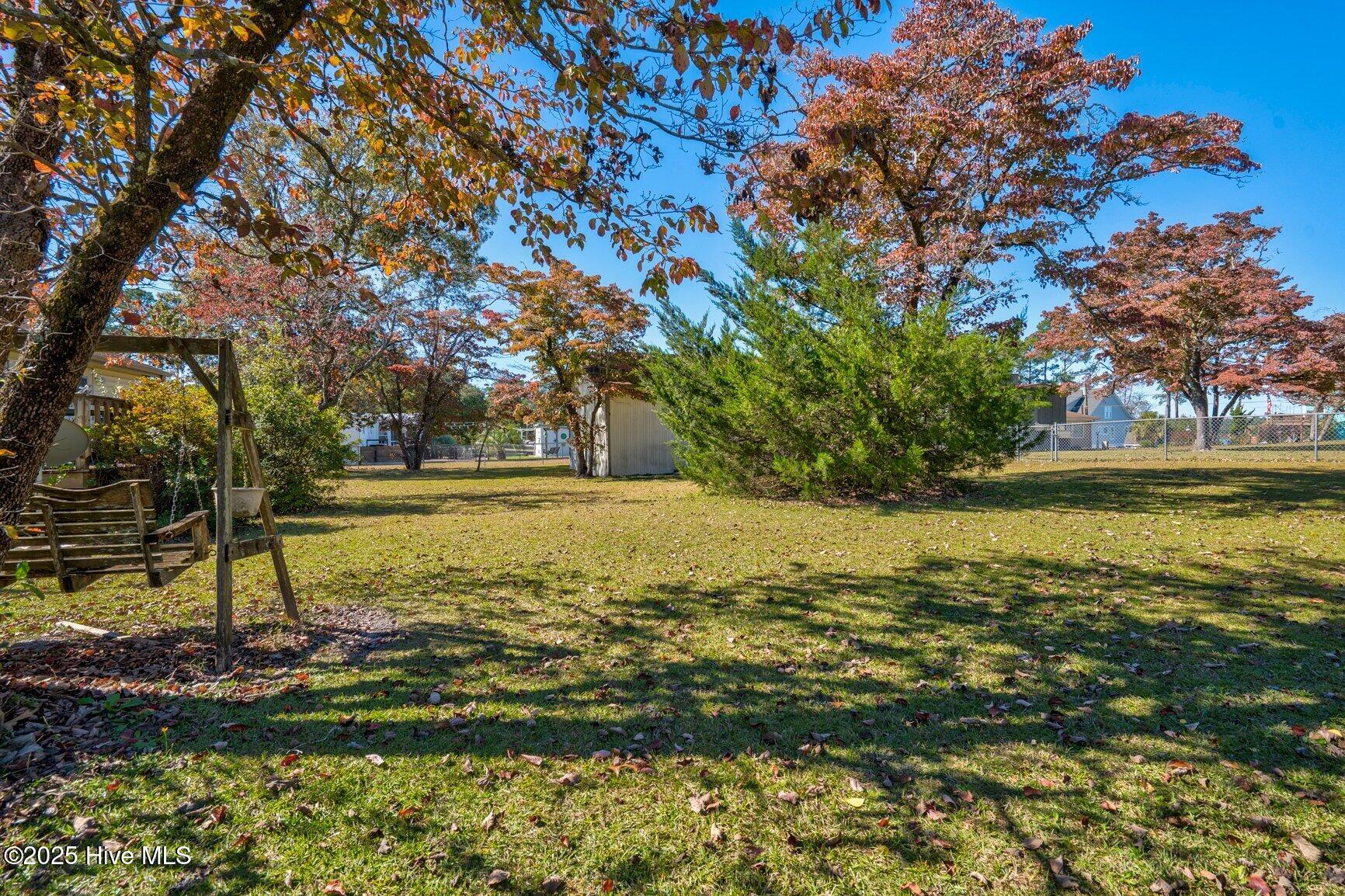 100539202 | Photo 22