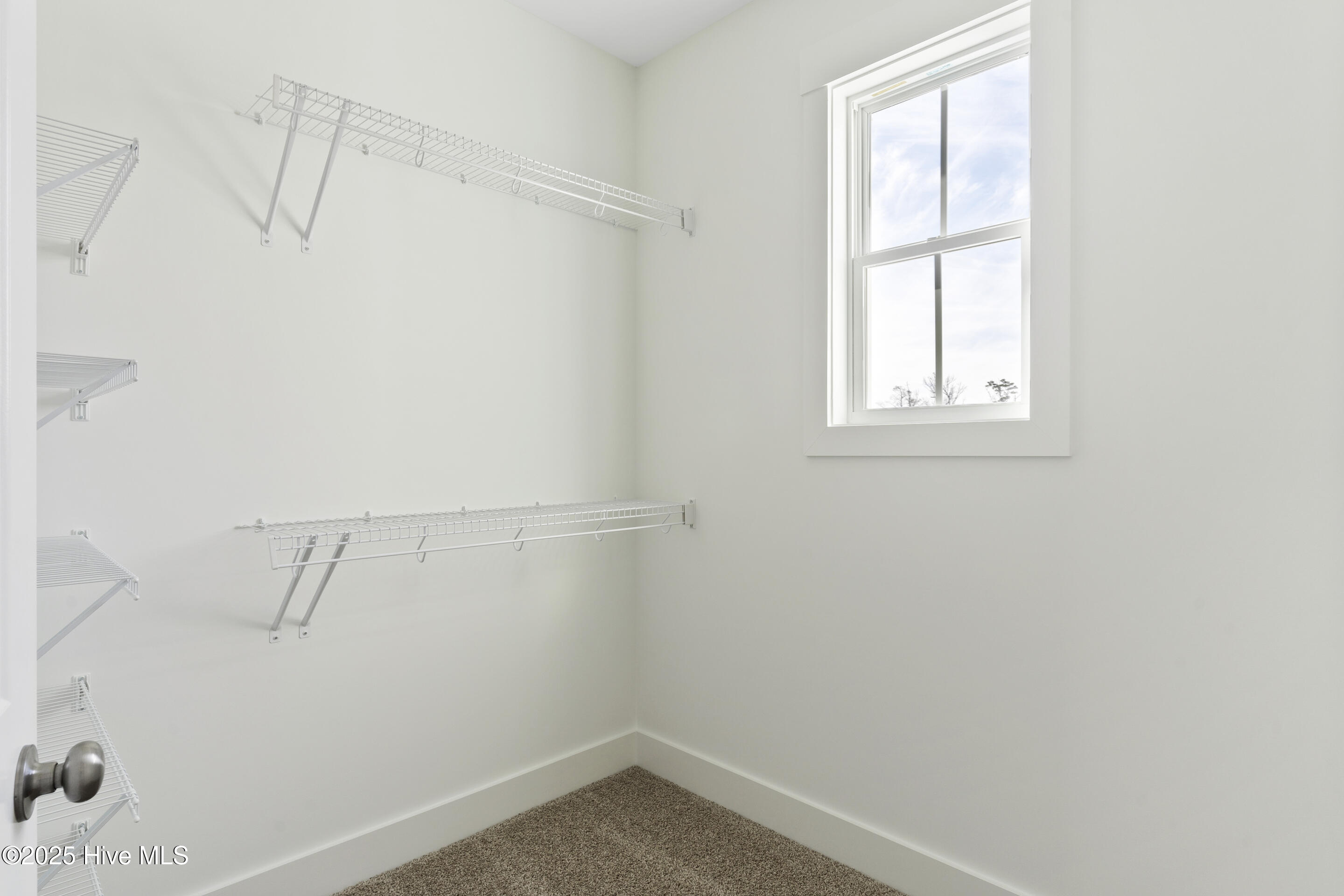 1037 Tidal Lane 6a, Wilmington, NC 28401 – photo 16: mls-DSC09531