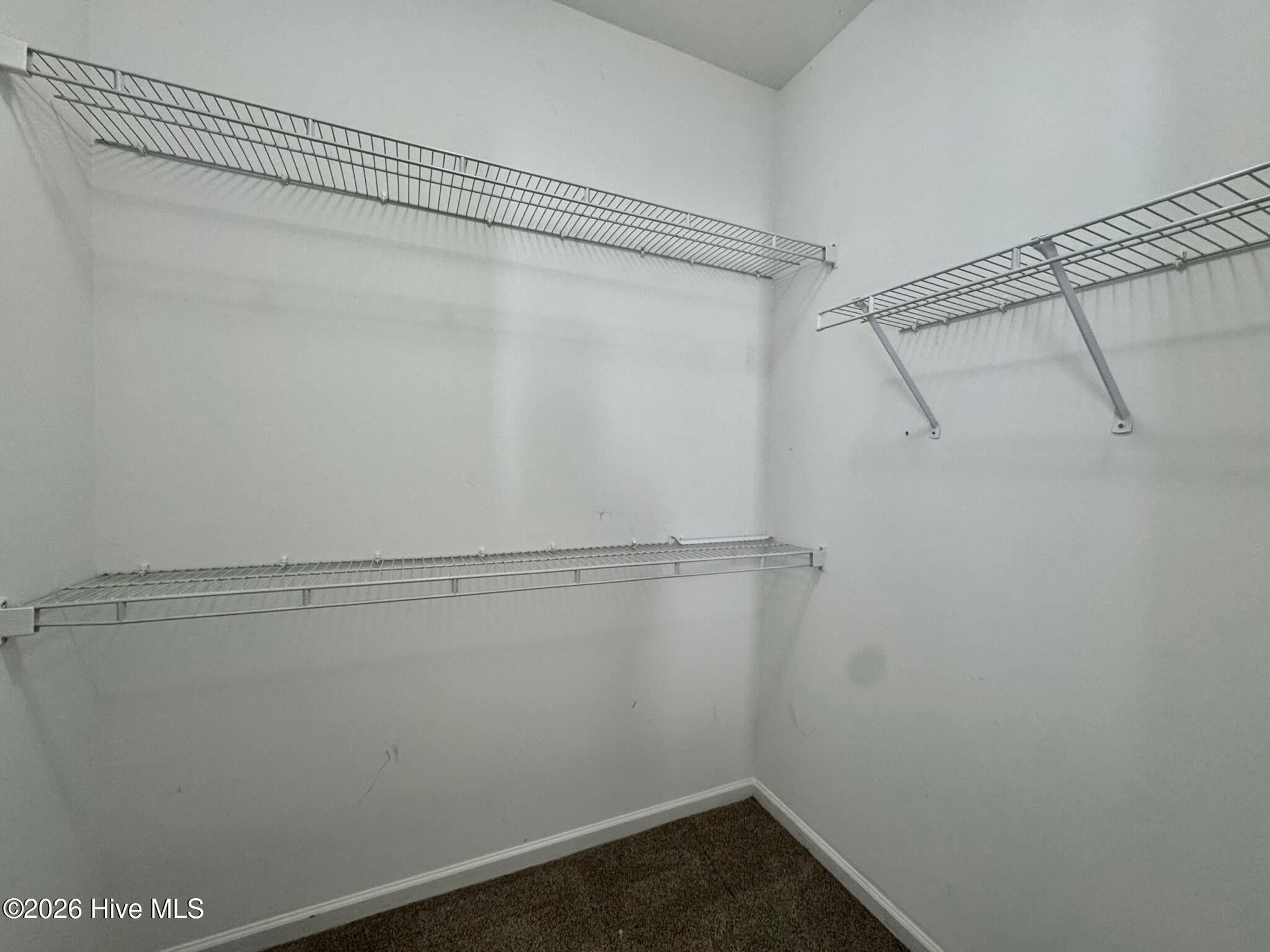 100554520 | Photo 19