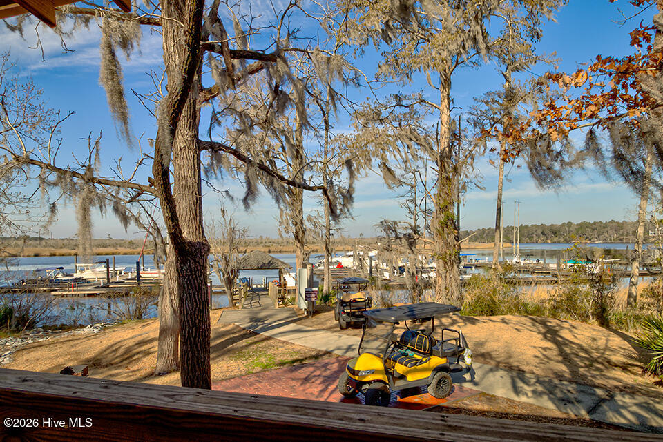 100548216 | Photo 59