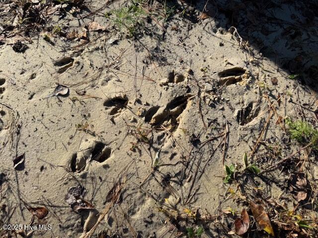 100542829 | Photo 11