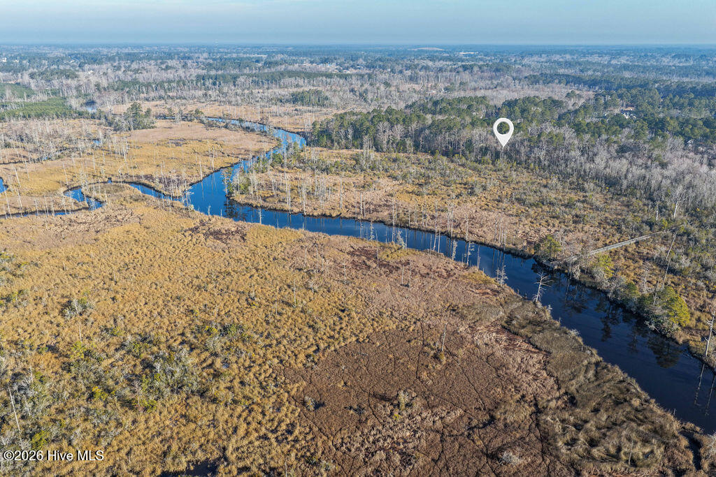 100558623 | Photo 18