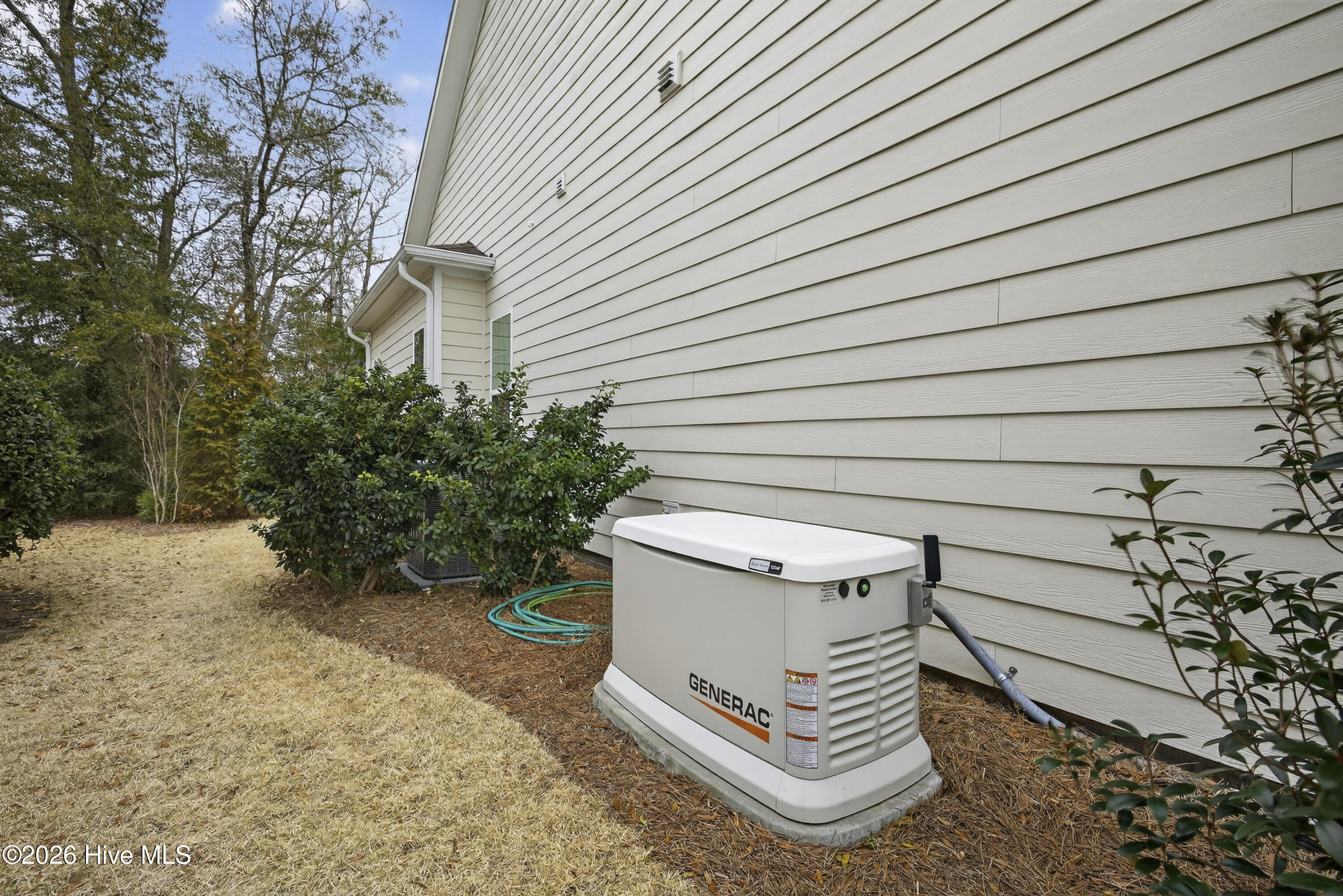 100558157 | Photo 47