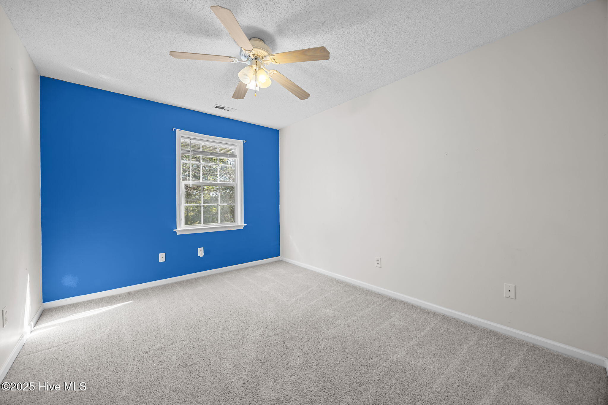 100541595 | Photo 30