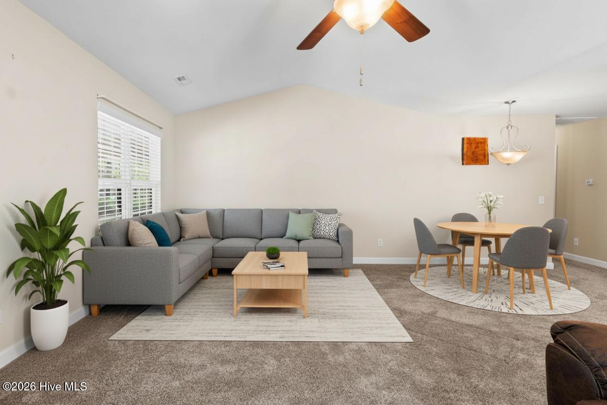 100554098 | Photo 13