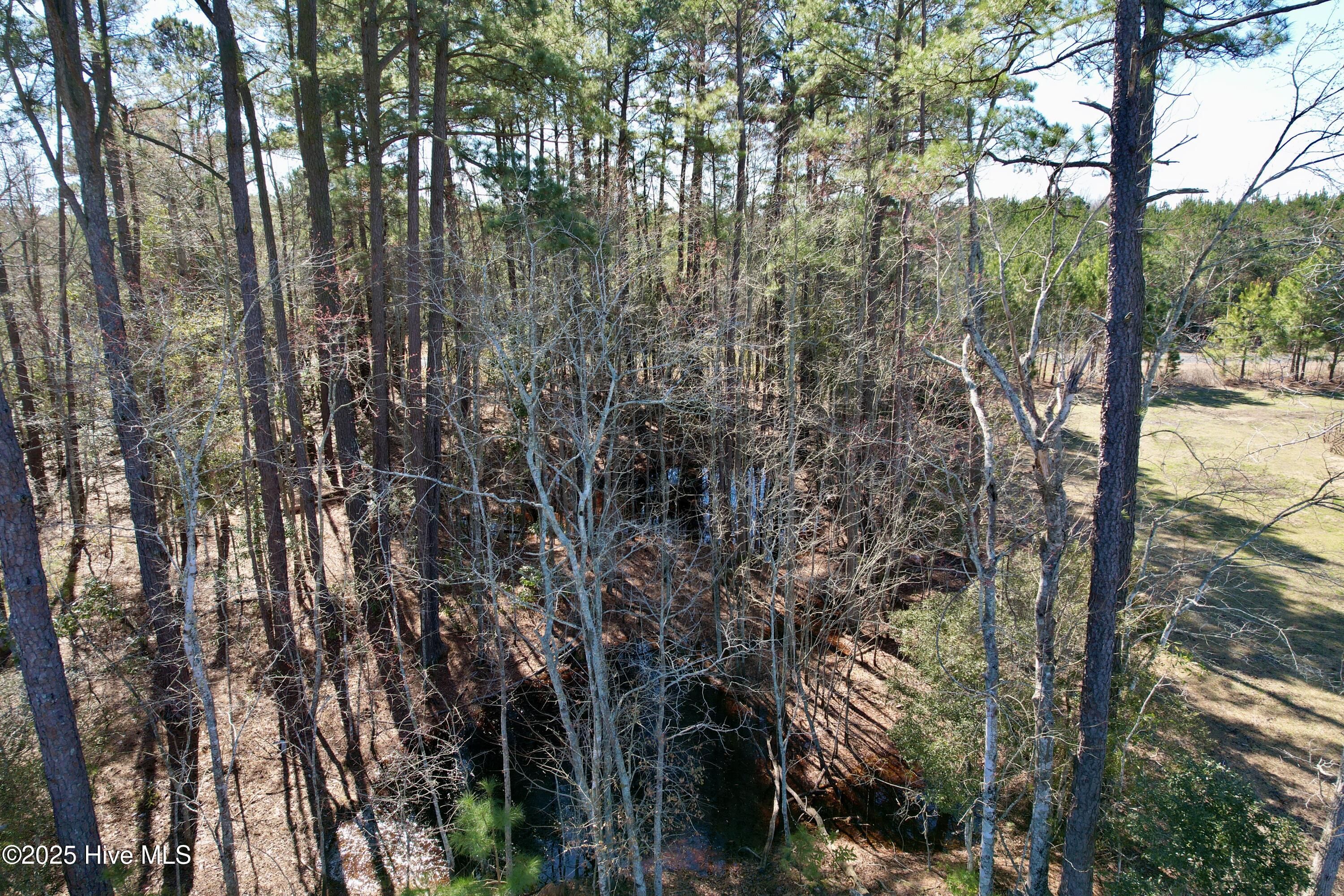 100490813 | Photo 19