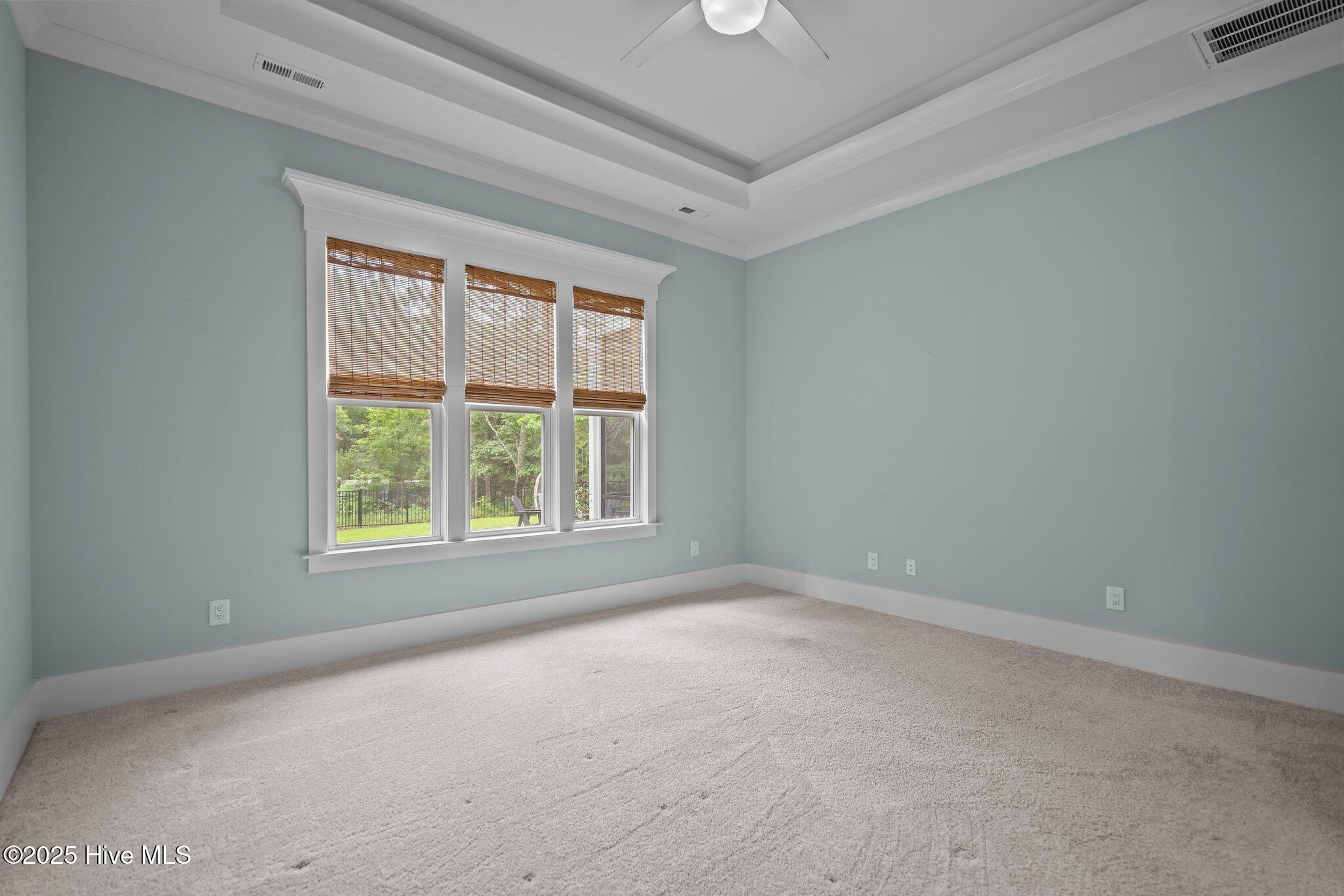 100510918 | Photo 23