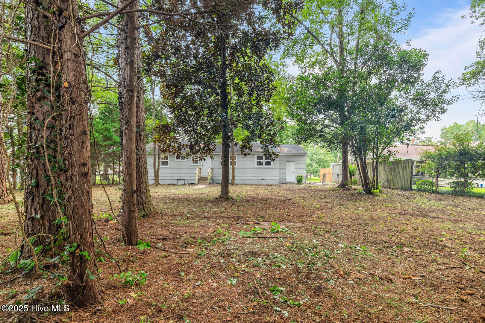 100526700 | Photo 39