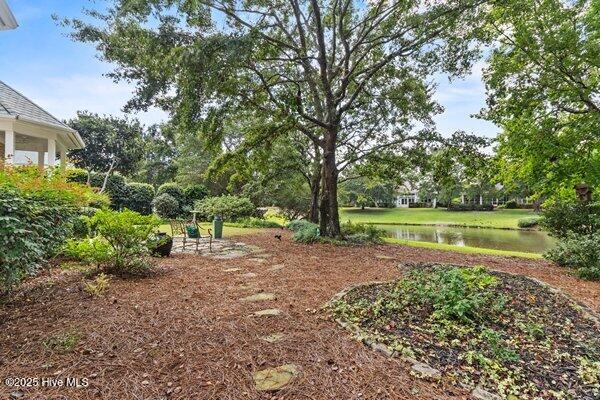 100534265 | Photo 44