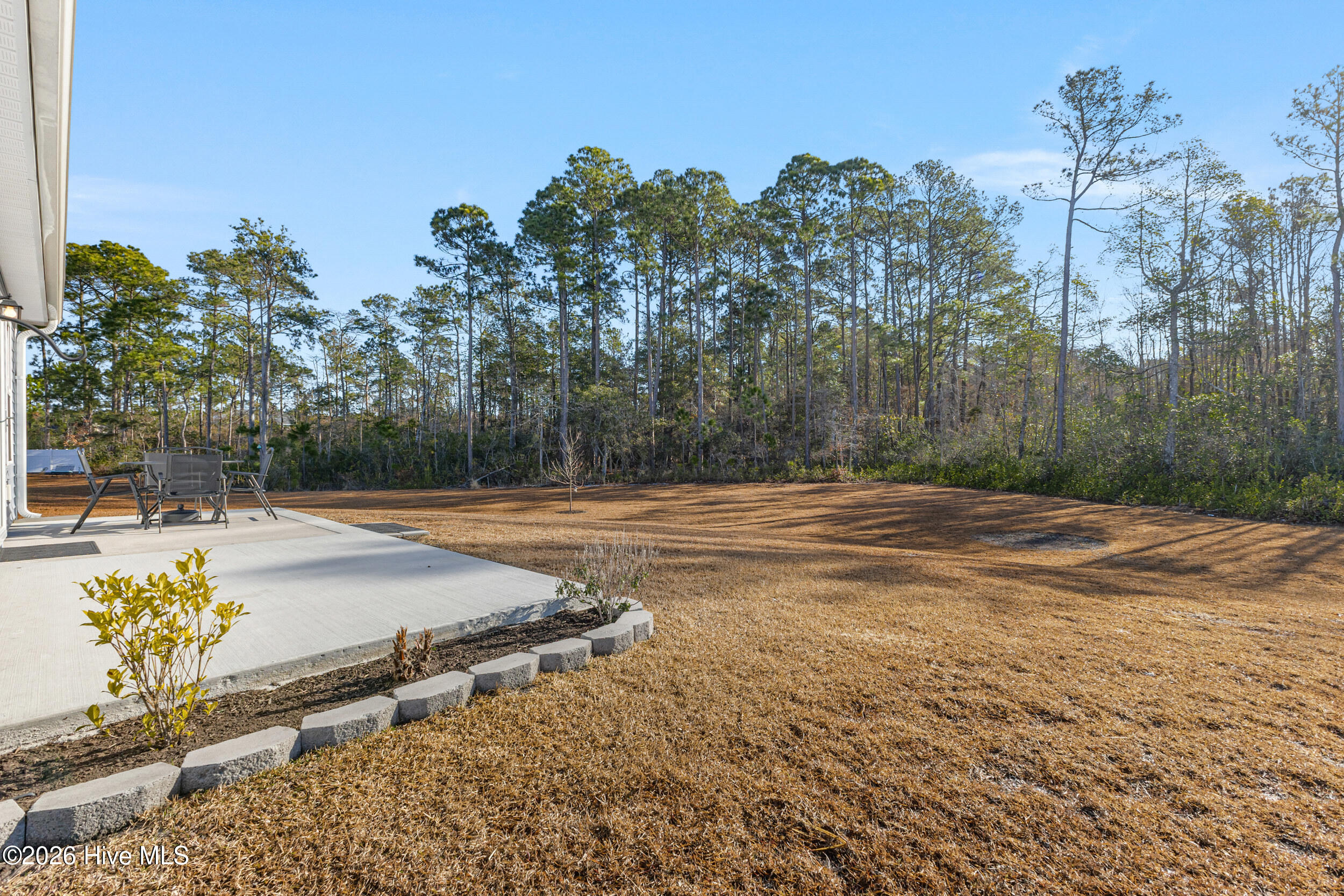 100547878 | Photo 23