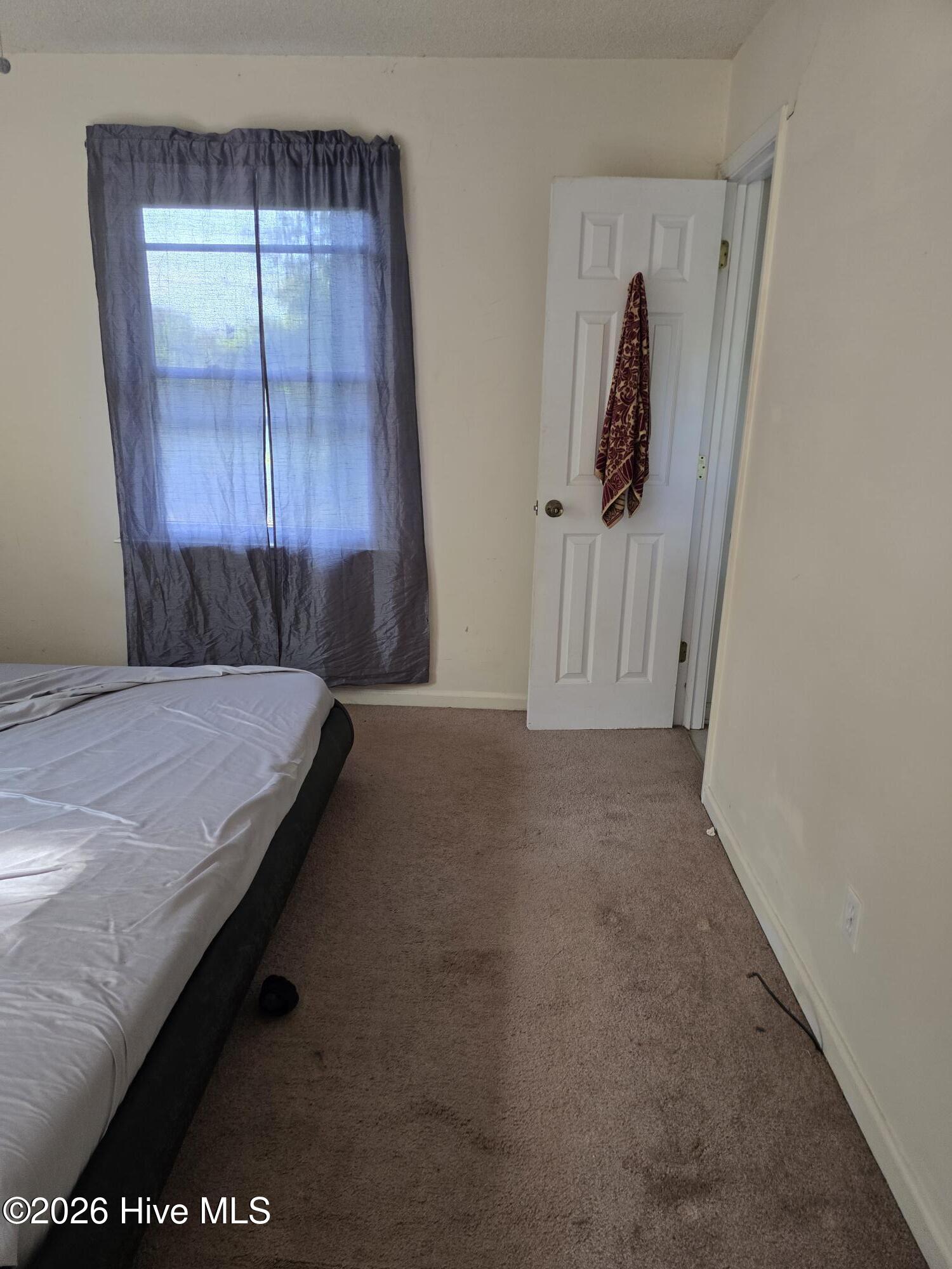 100567679 | Photo 12