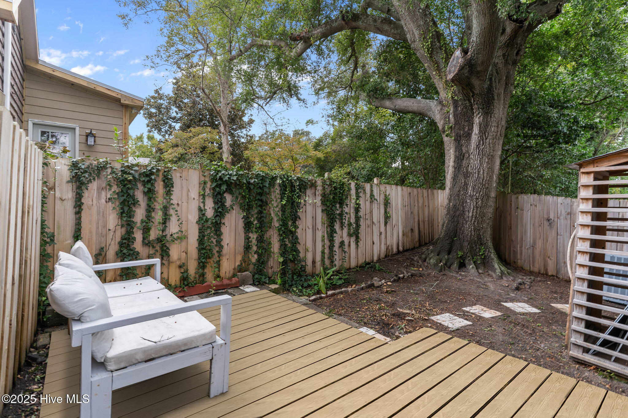 100534947 | Photo 27