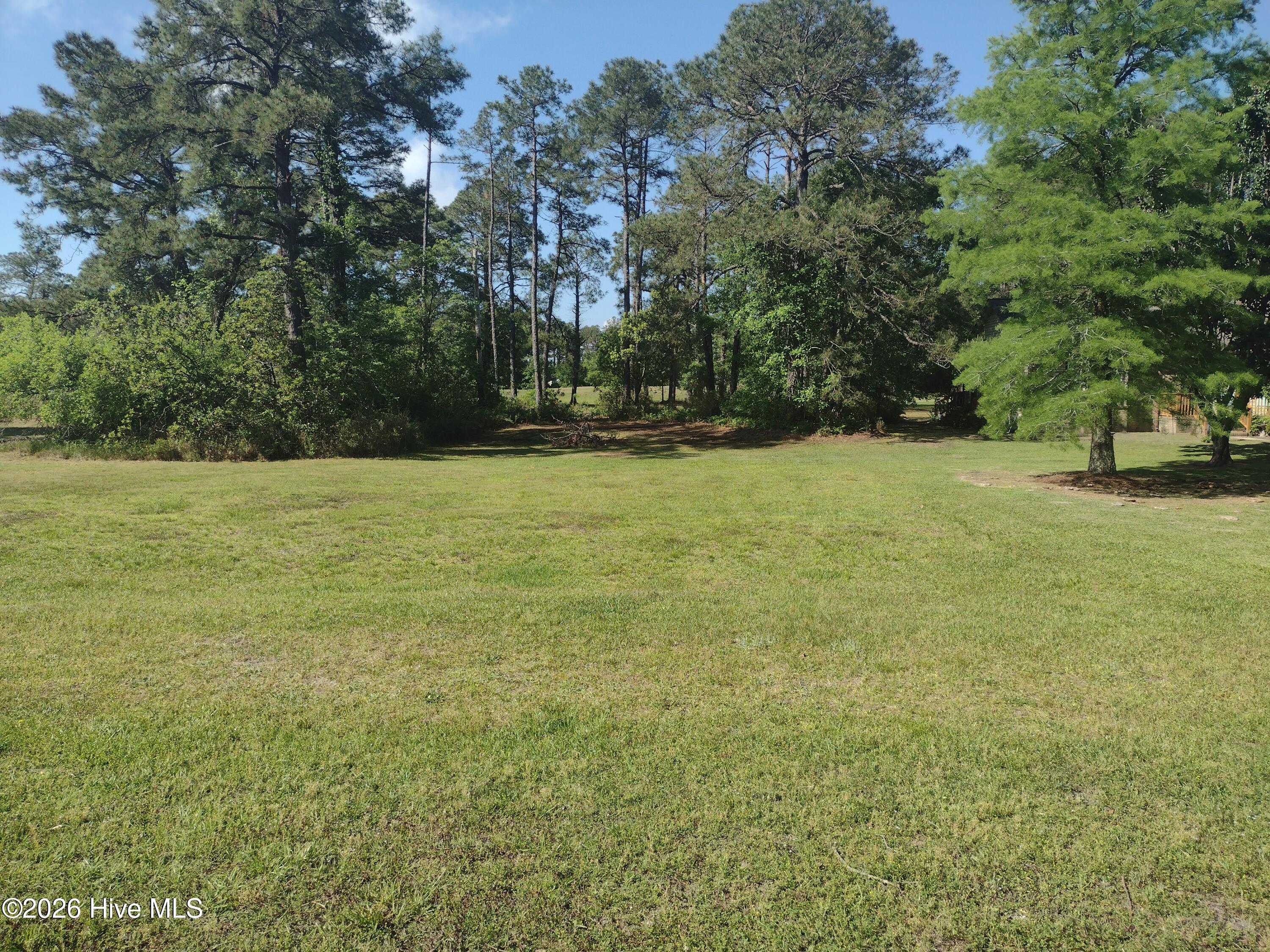 1733 Caracara LOT(2)