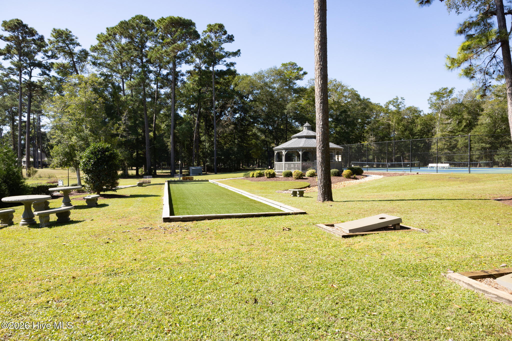 100547125 | Photo 43