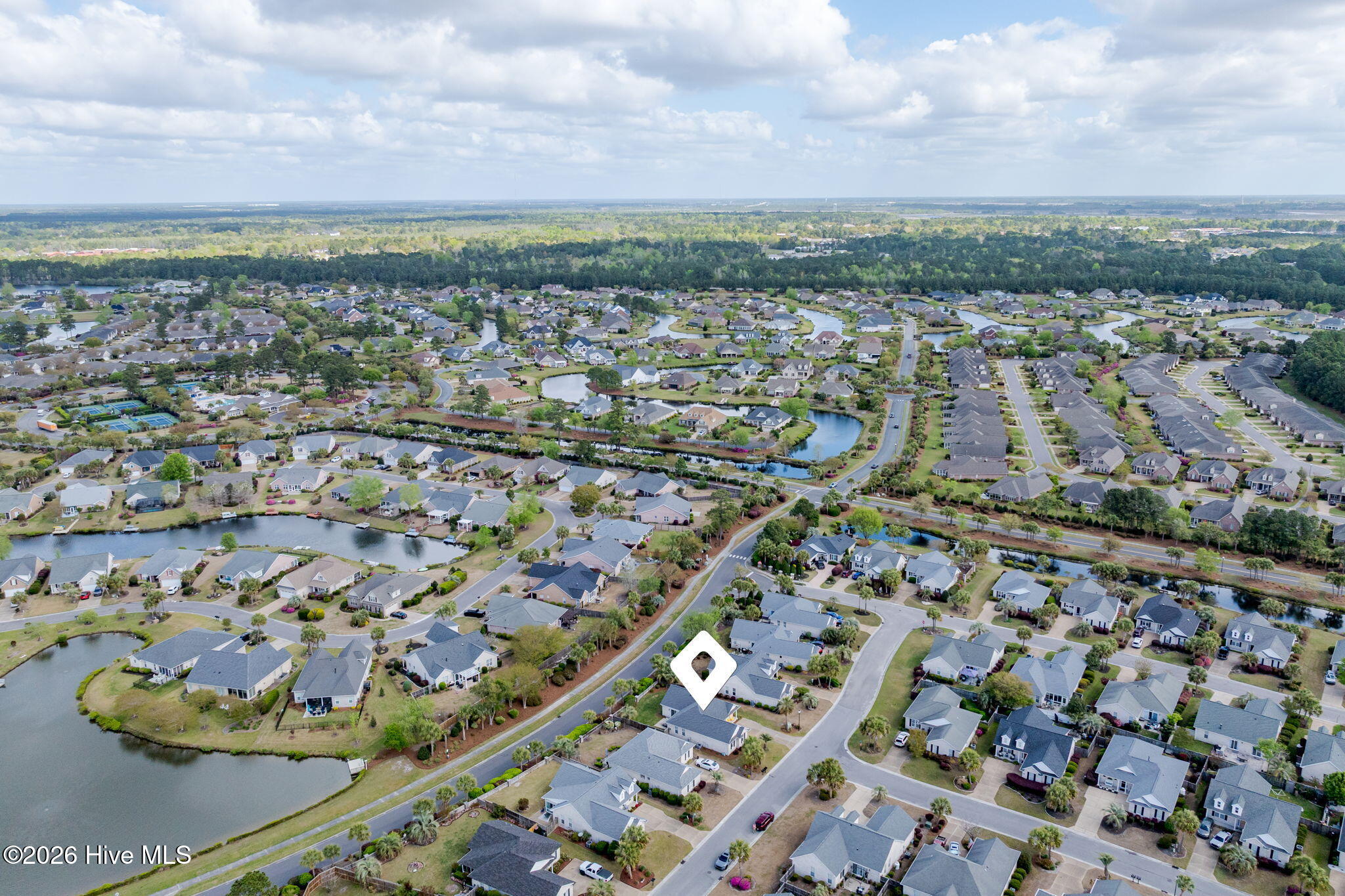 100564591 | Photo 41