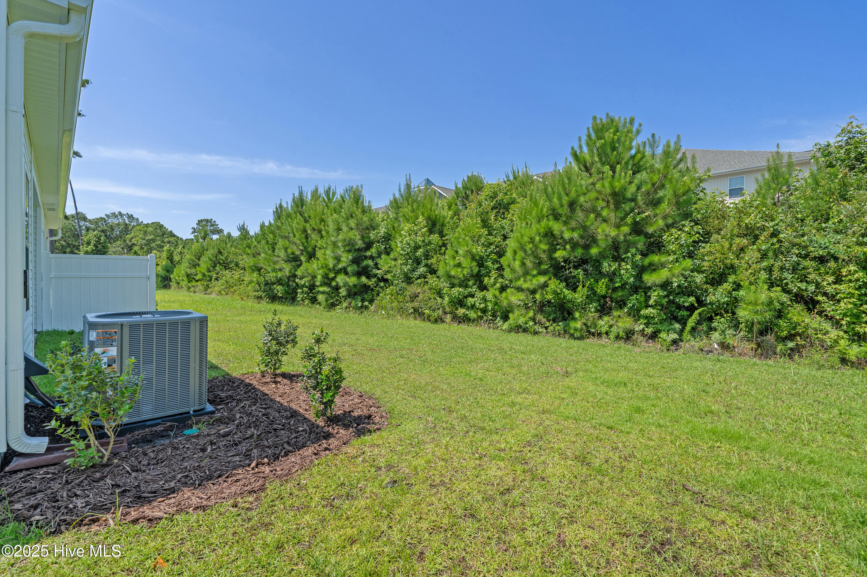 100534504 | Photo 19