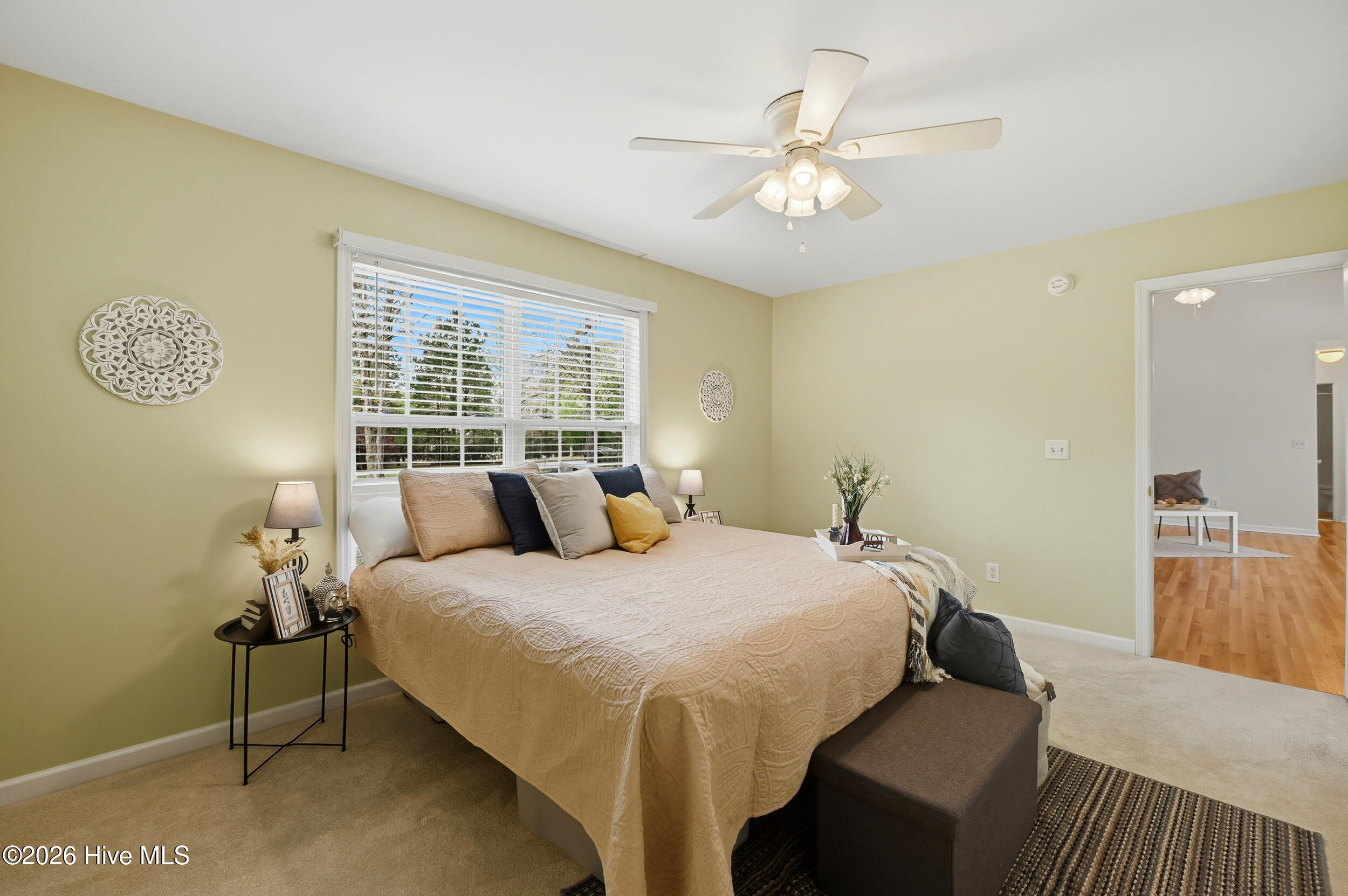 100562256 | Photo 18