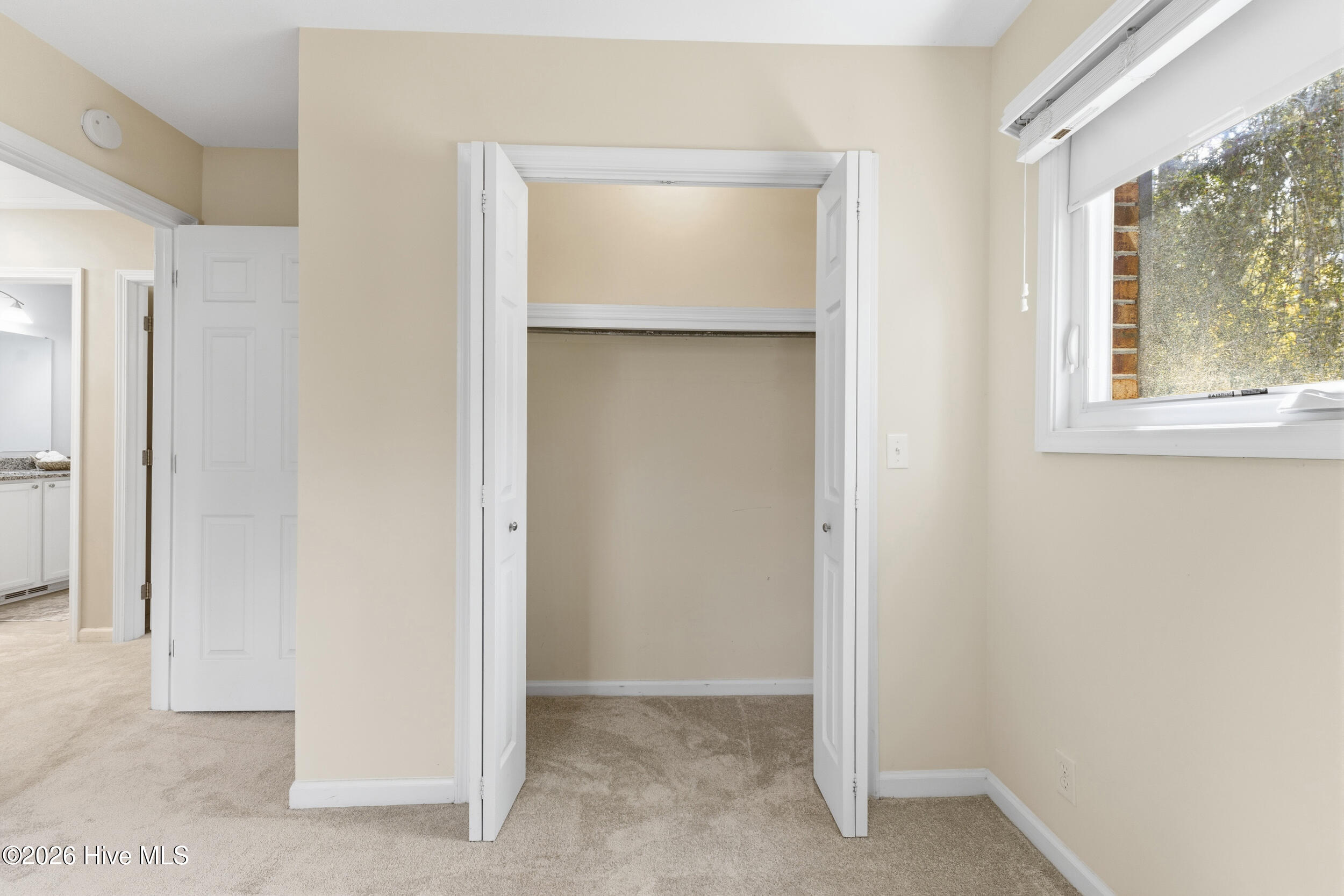 100565725 | Photo 31