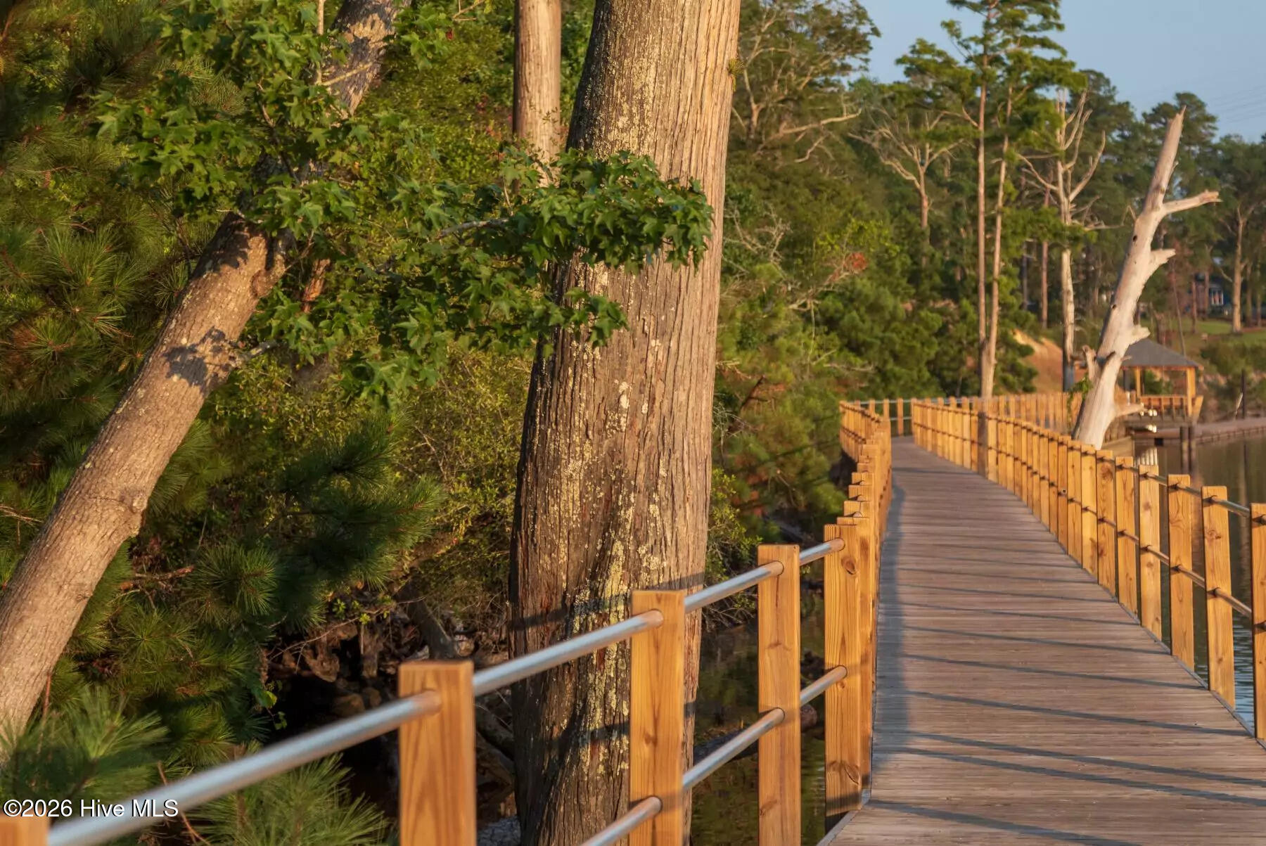 100568555 | Photo 51