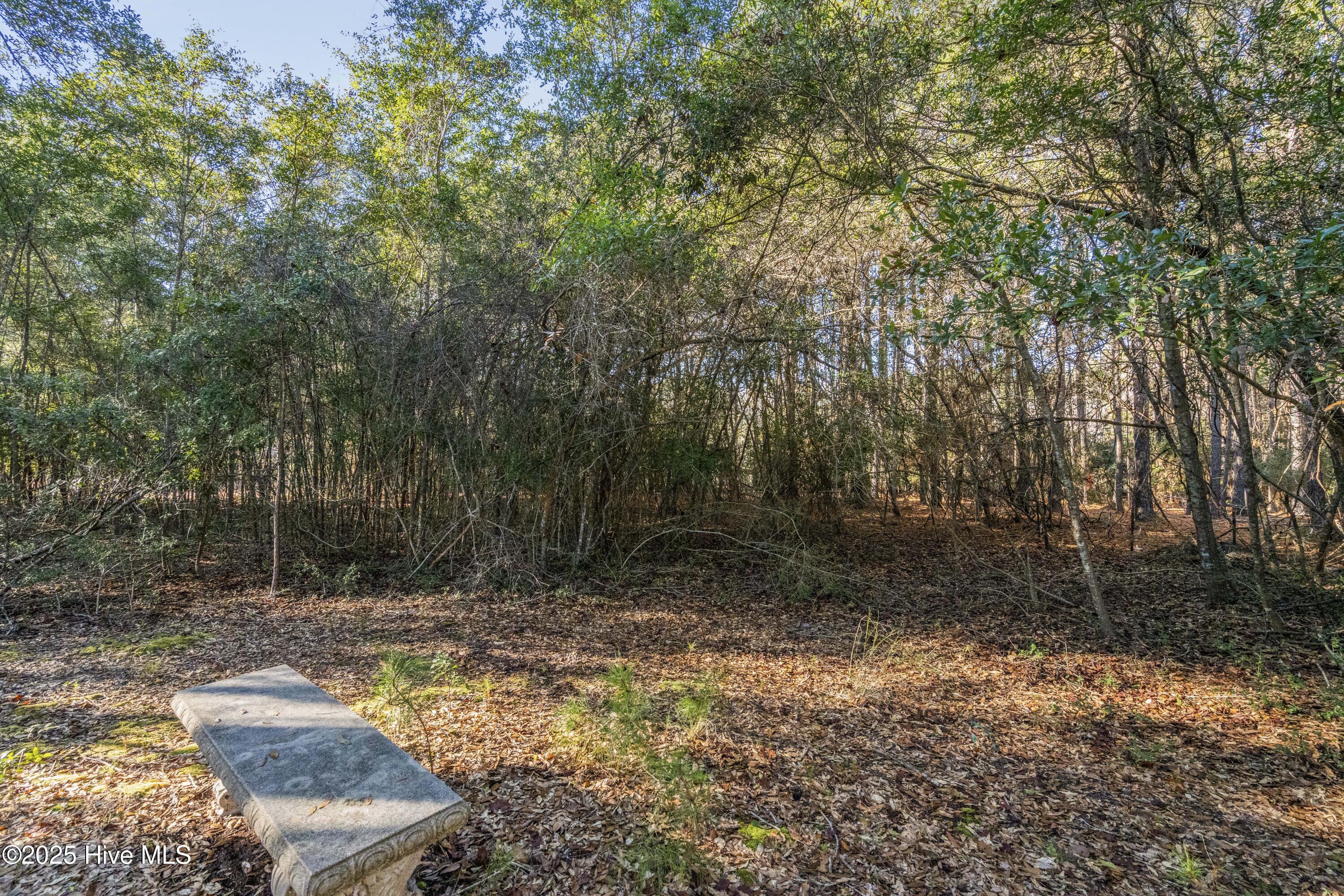 100545322 | Photo 13