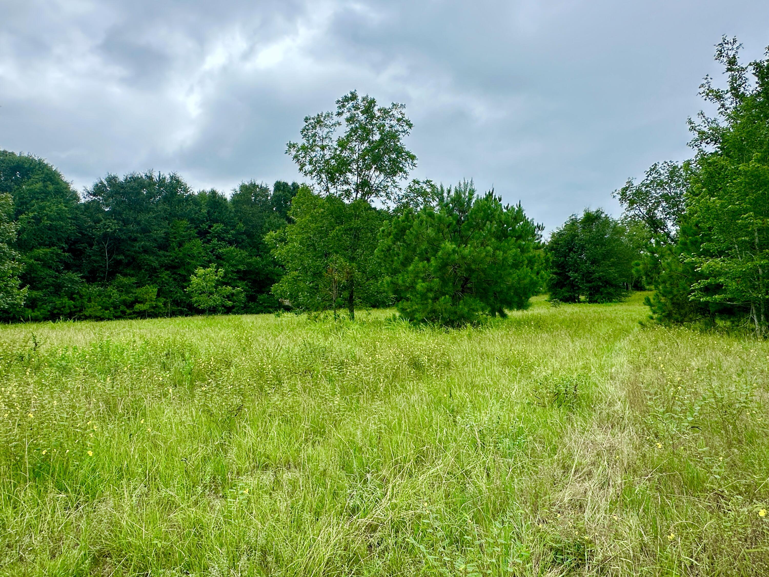 Homes for sale in Waynesboro, GA | 0 S 23 Hwy, Waynesboro, GA 30830 | MLS# 545885