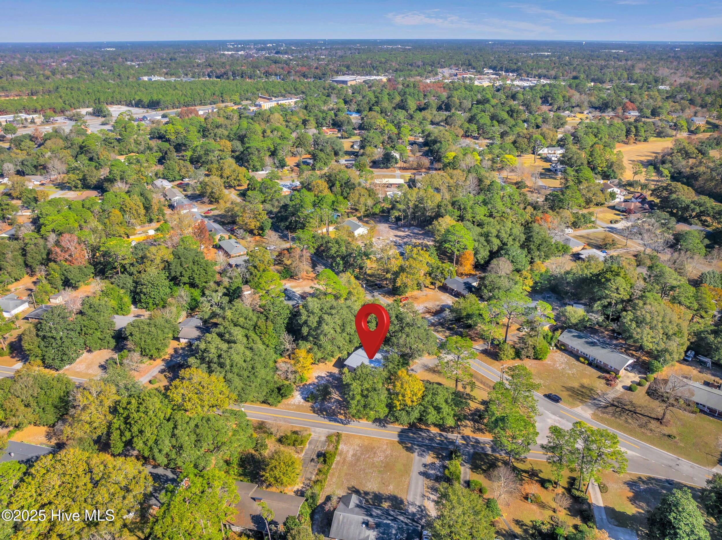 100532133 | Photo 54