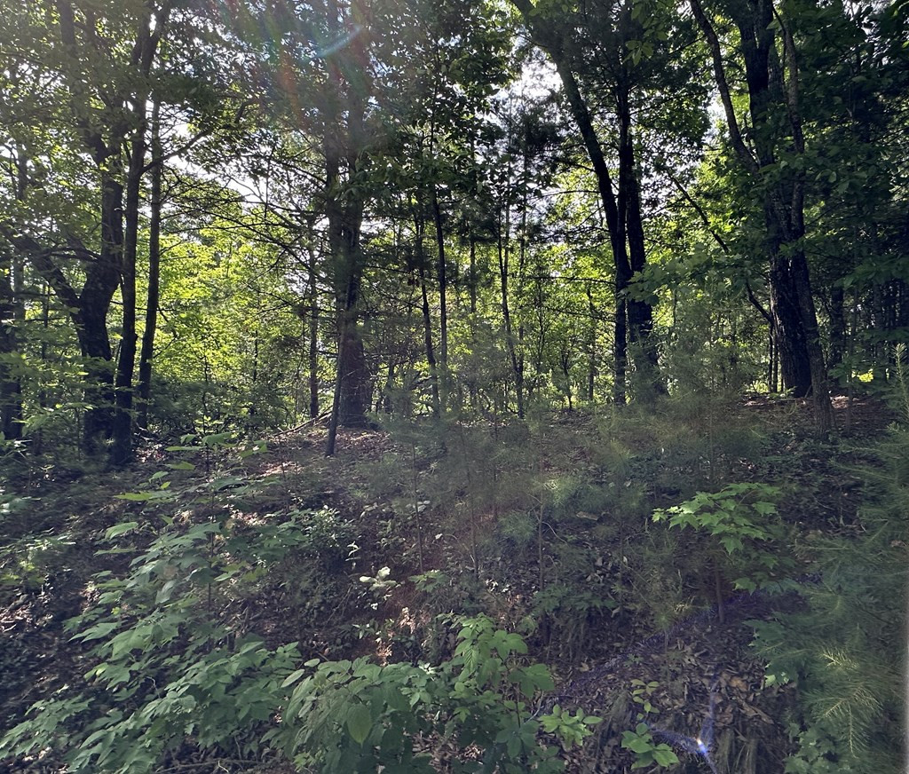 Exterior photo of Lot 31 31 Peak Trail, Murphy, NC 28906. MLS: 100595620