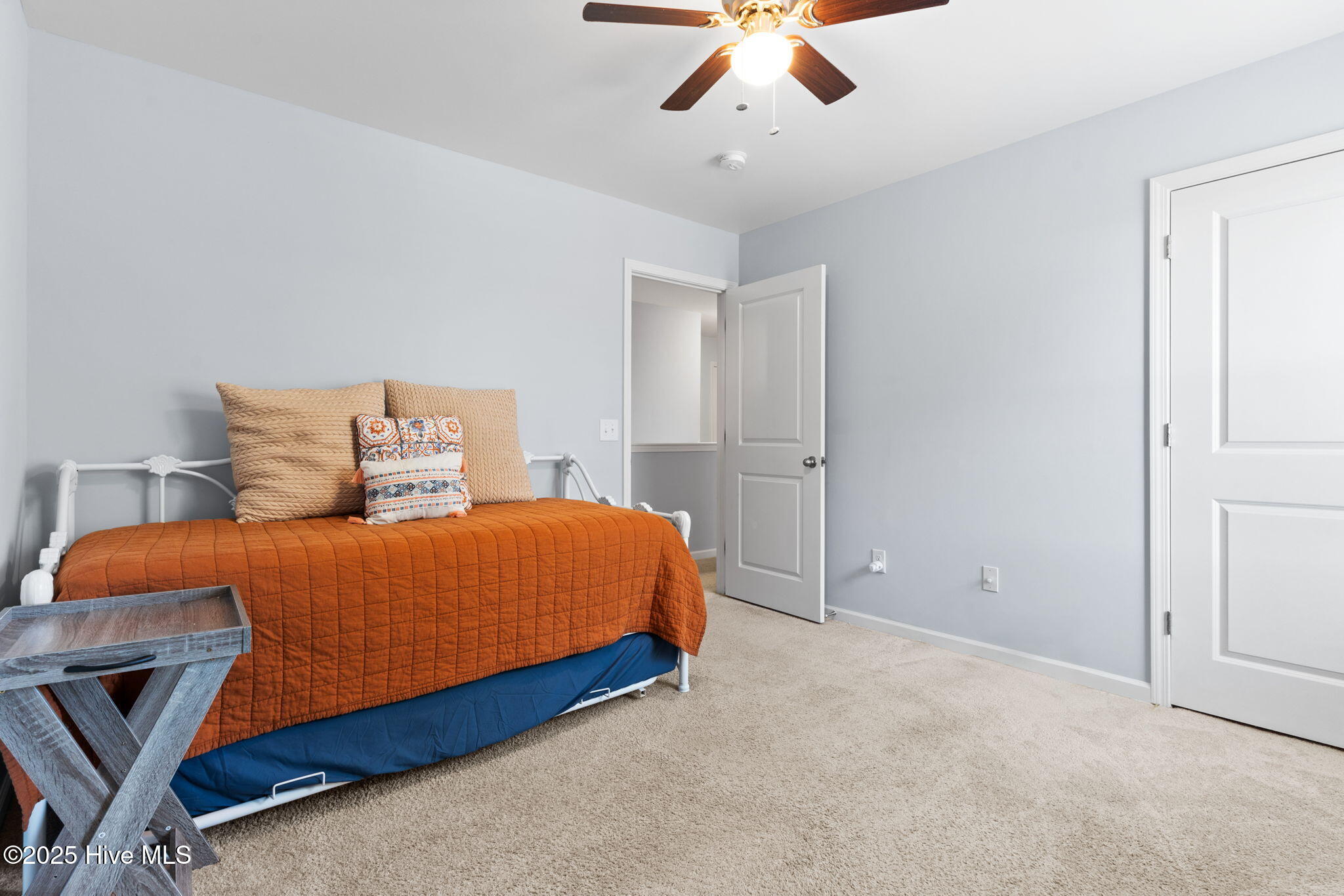 100538631 | Photo 25