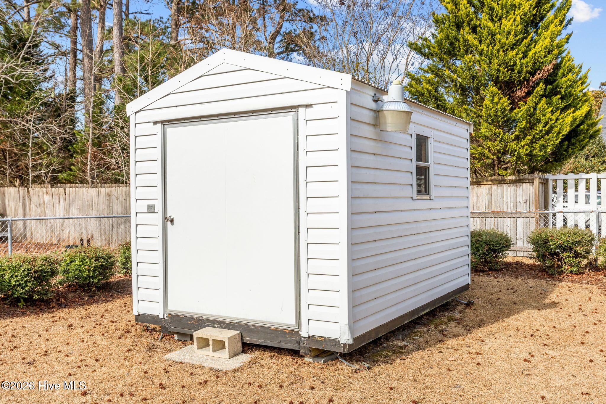 100550473 | Photo 36