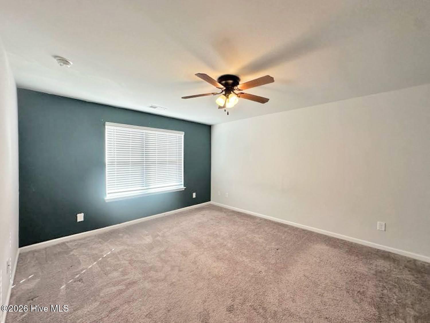 100552647 | Photo 24