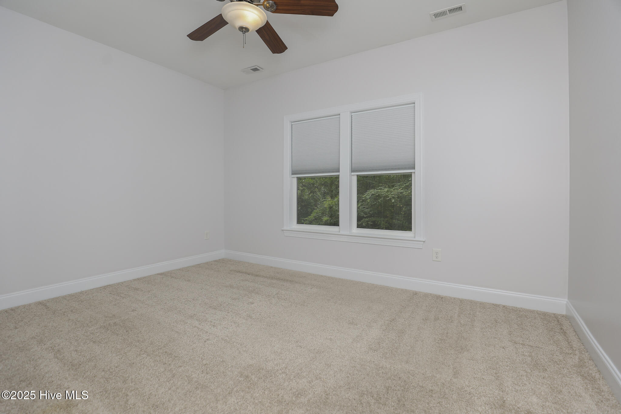 100530782 | Photo 27