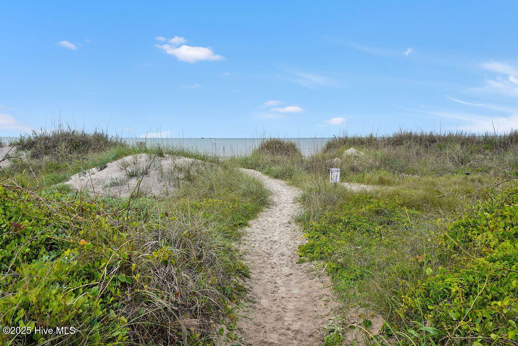 100523610 | Photo 54