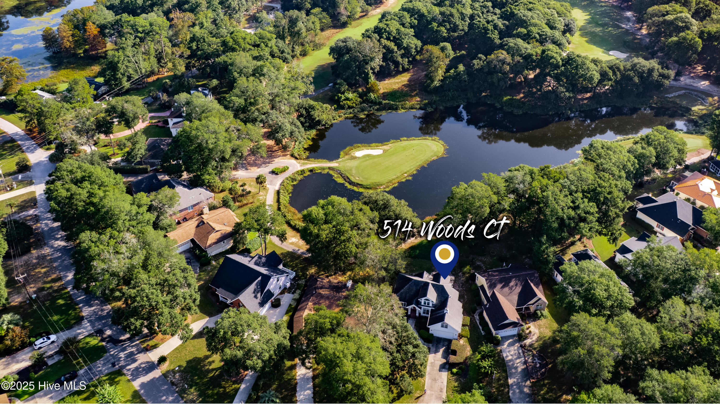 100535569 | Photo 44