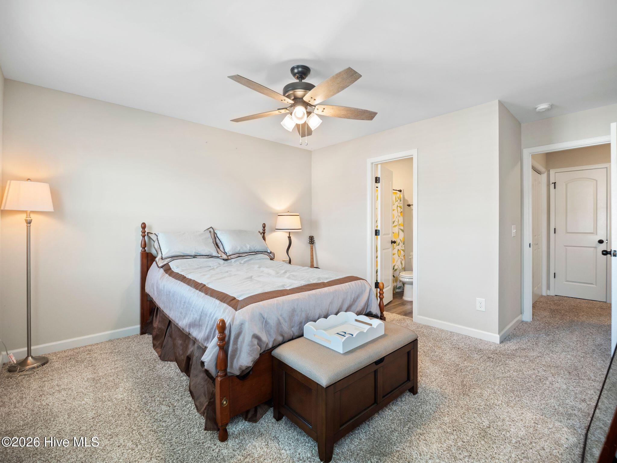 100569954 | Photo 32