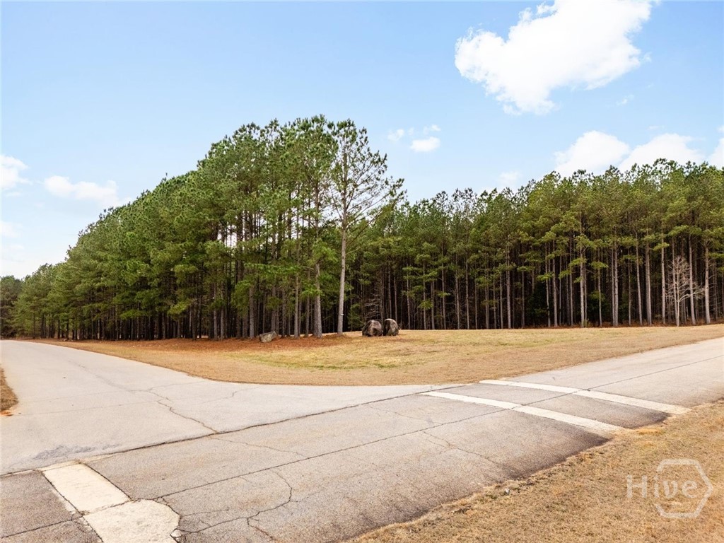 5th image of 1084 S Hesters Ferry Rd, Tignall, GA 30668 | MLS# CL361977