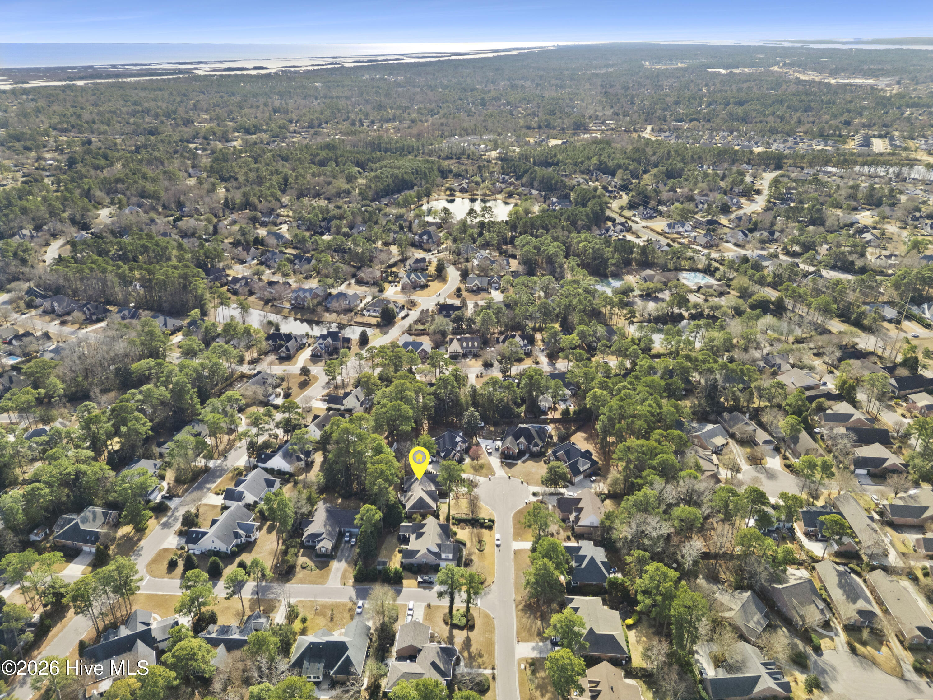 100550705 | Photo 51