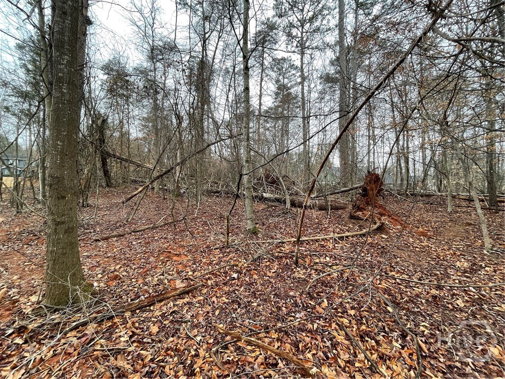 Lot 2 Mt Carmel Church Road, Autryville, NC, 28318