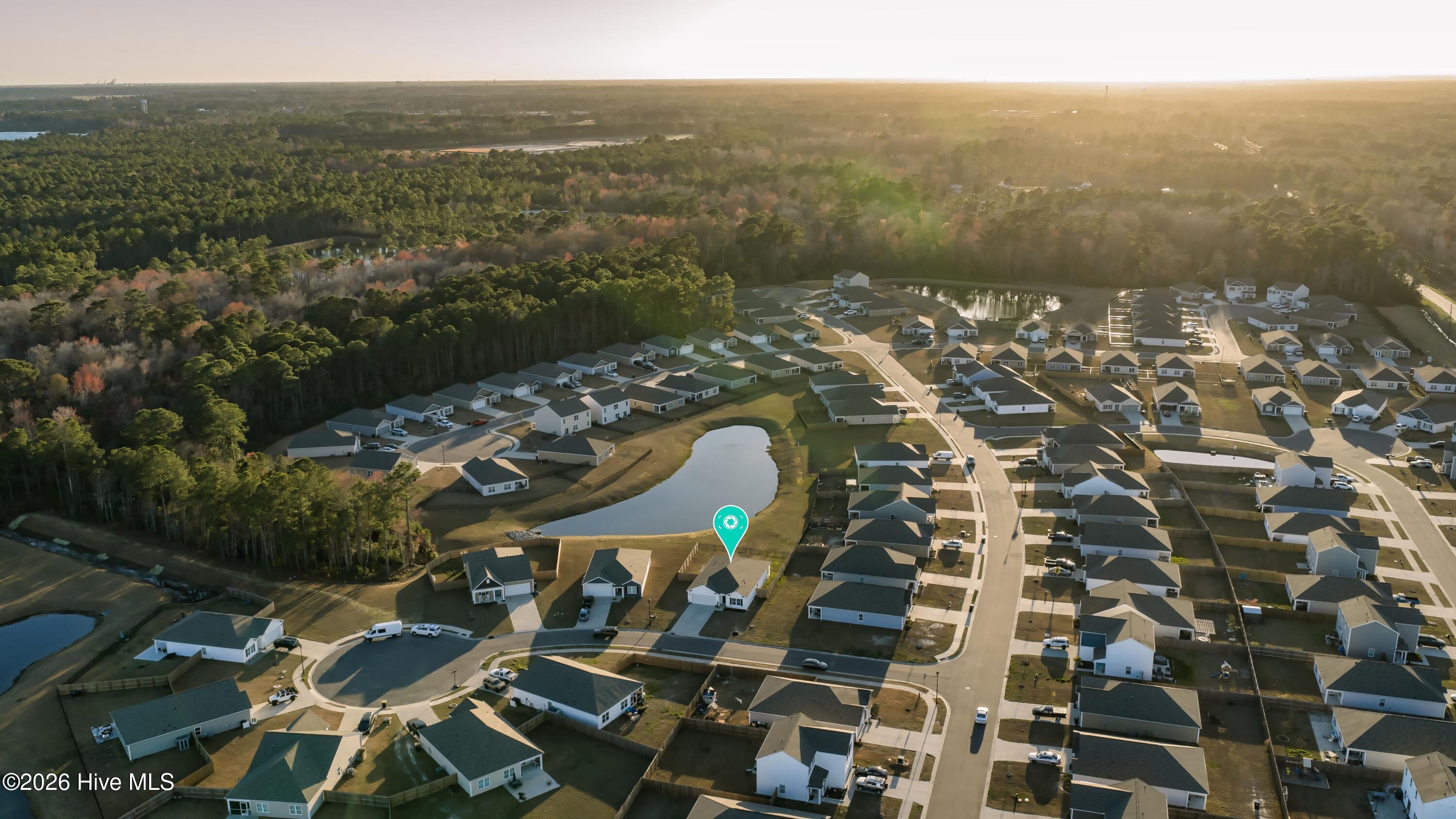 100558236 | Photo 44