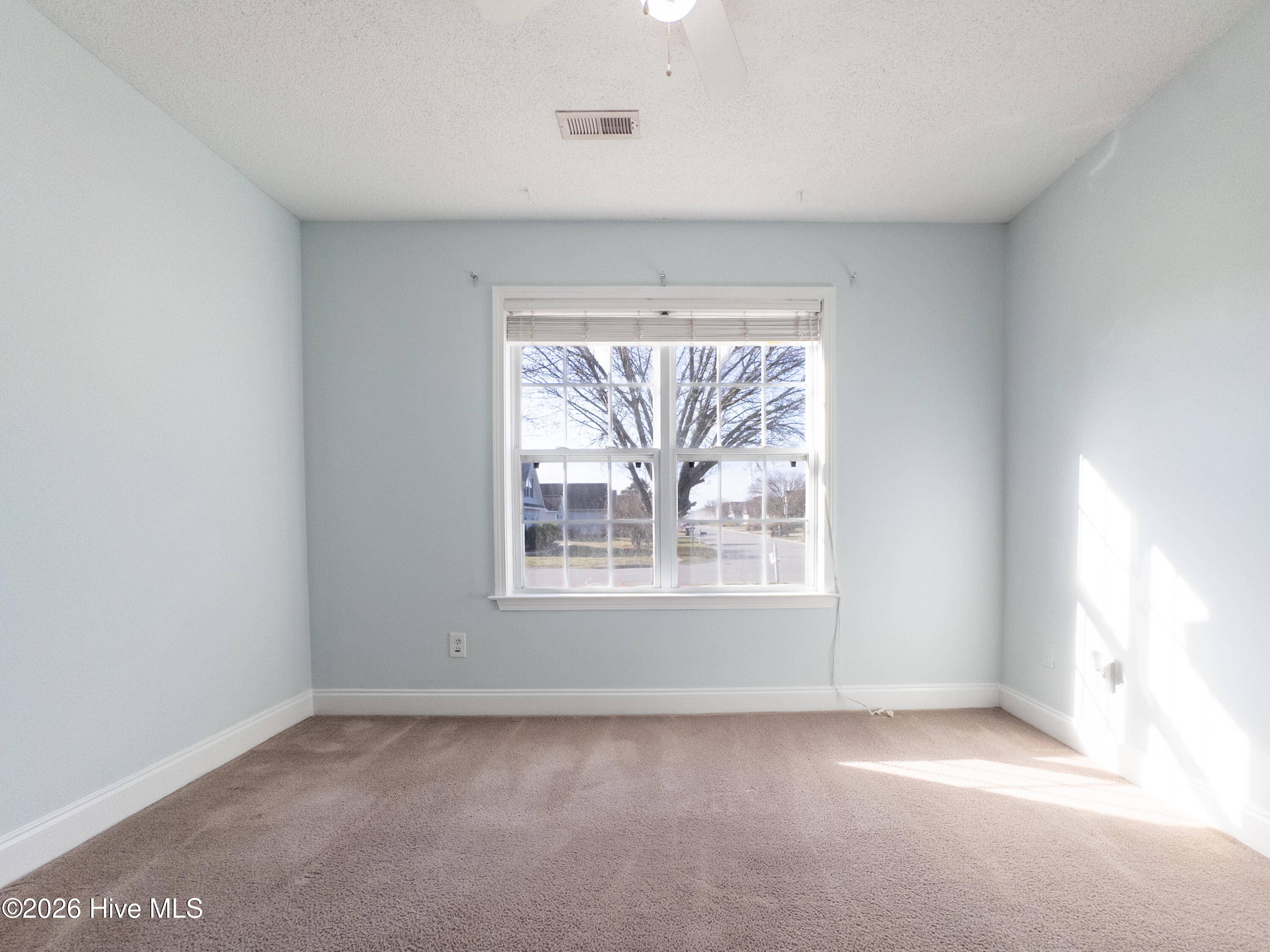 100558413 | Photo 19